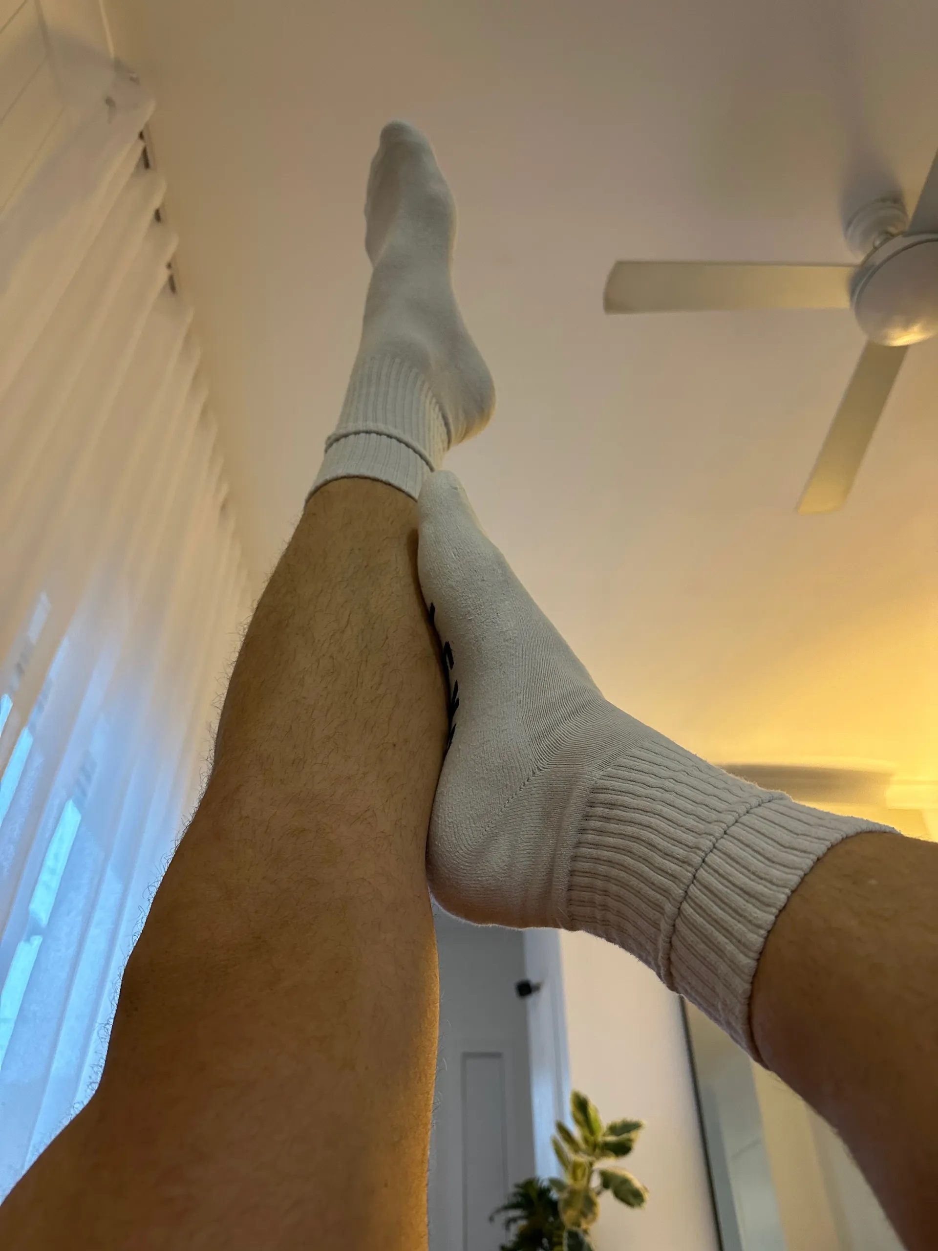 Freddie’s Feet OnlyFans header