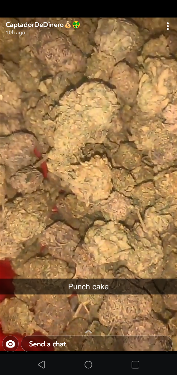 Fredo OnlyFans header