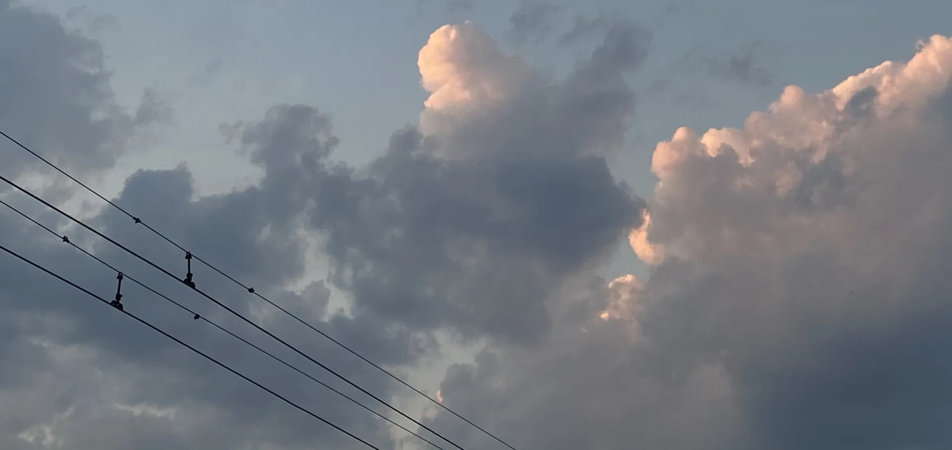 free. cloveralice ☘️ OnlyFans header