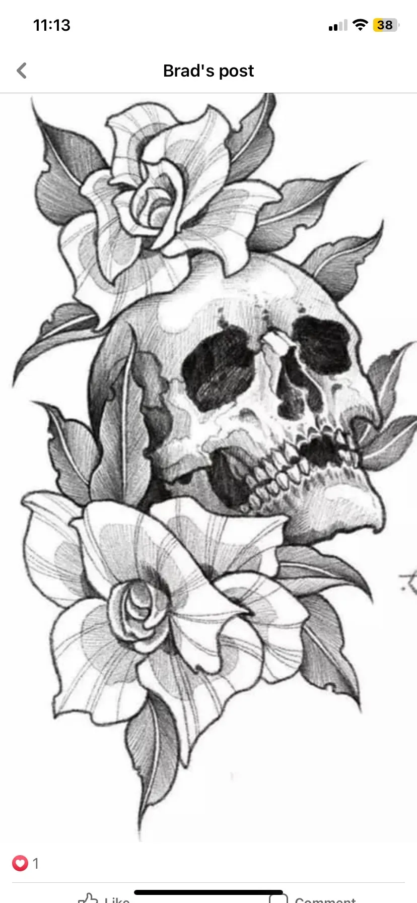 Katie OnlyFans header