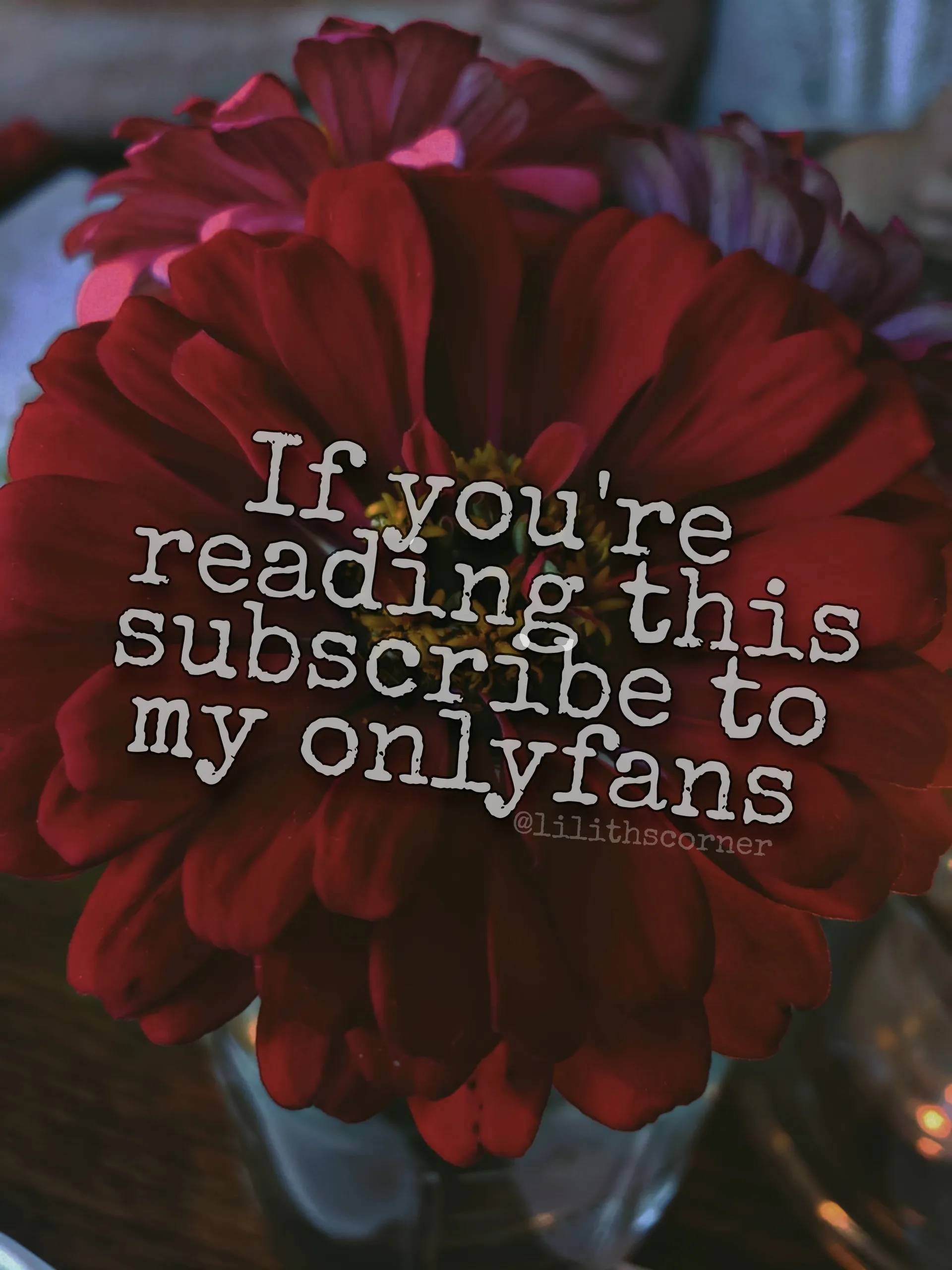 Baby Lilith OnlyFans header