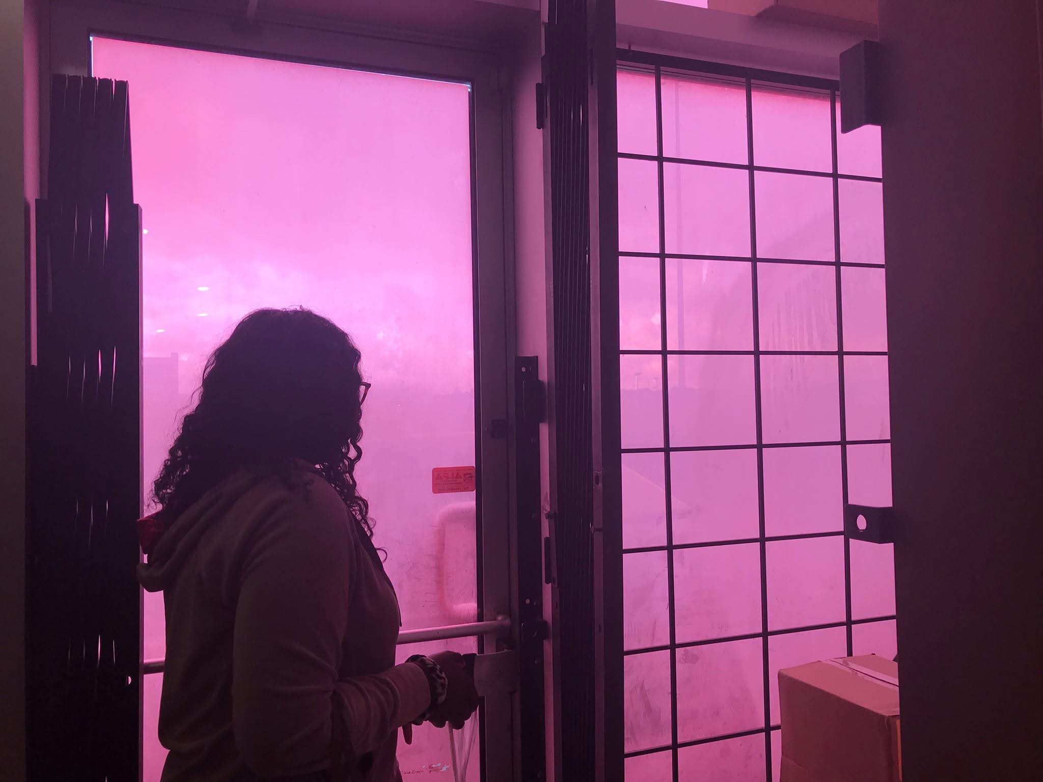 WildOne 😈 OnlyFans header