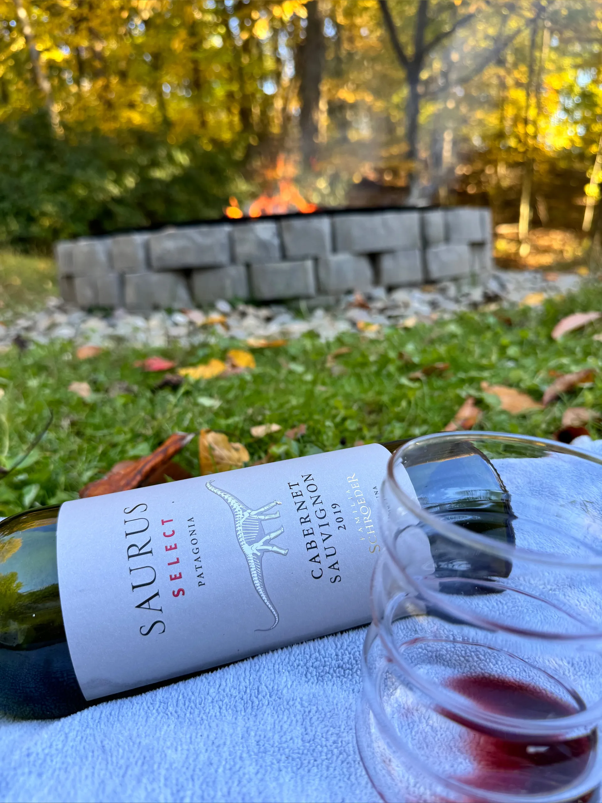 Free Cozy OnlyFans header