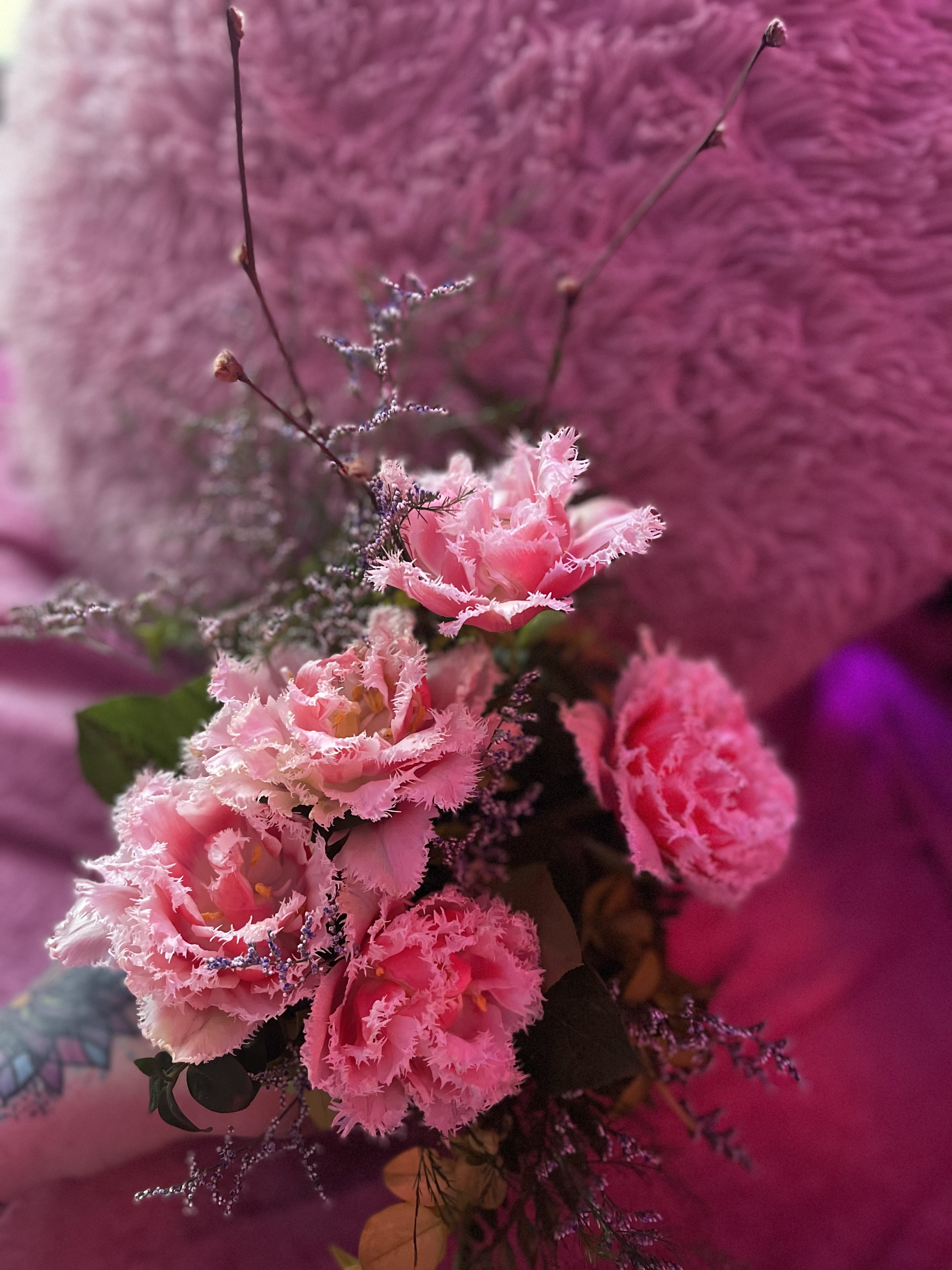 AthenaMay OnlyFans header