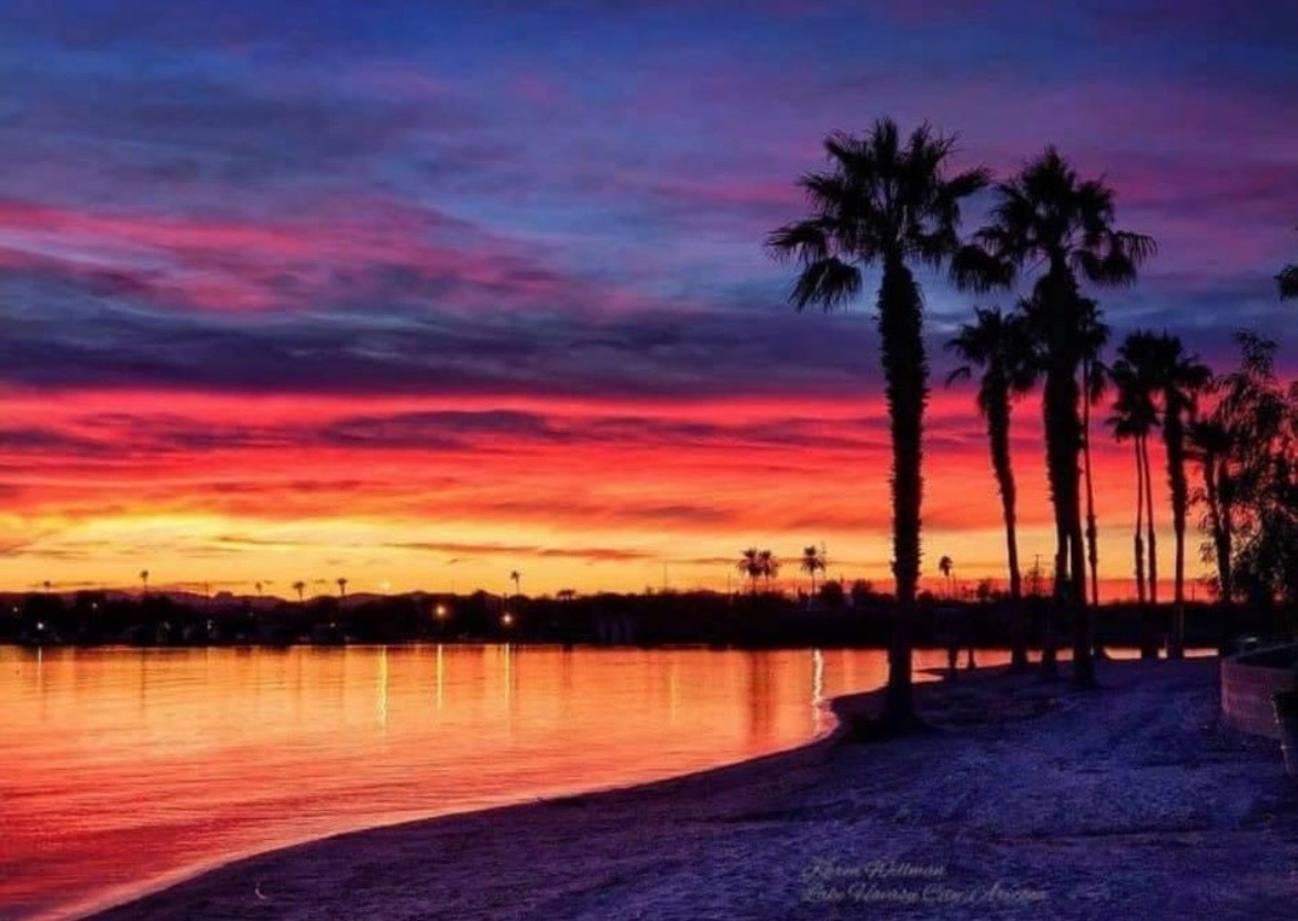 FREEESOR OnlyFans header