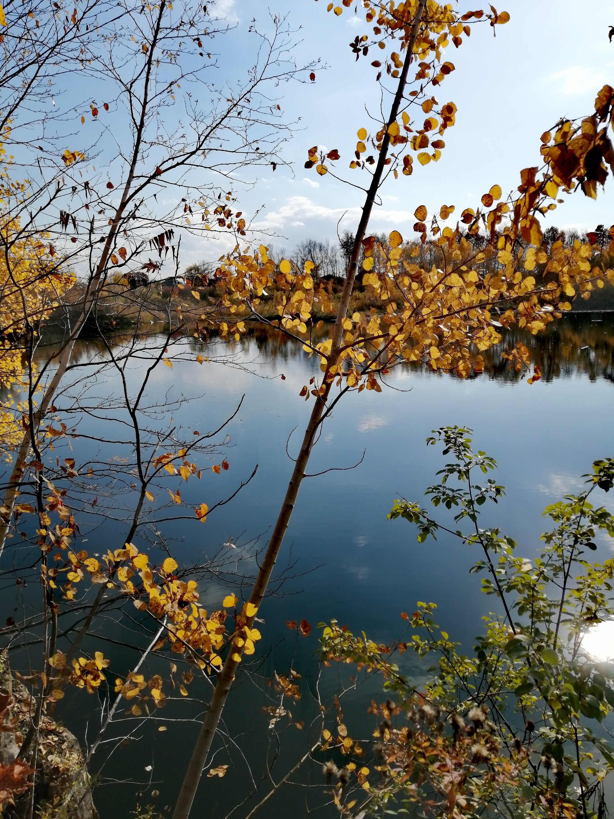 Freeing my nipples OnlyFans header