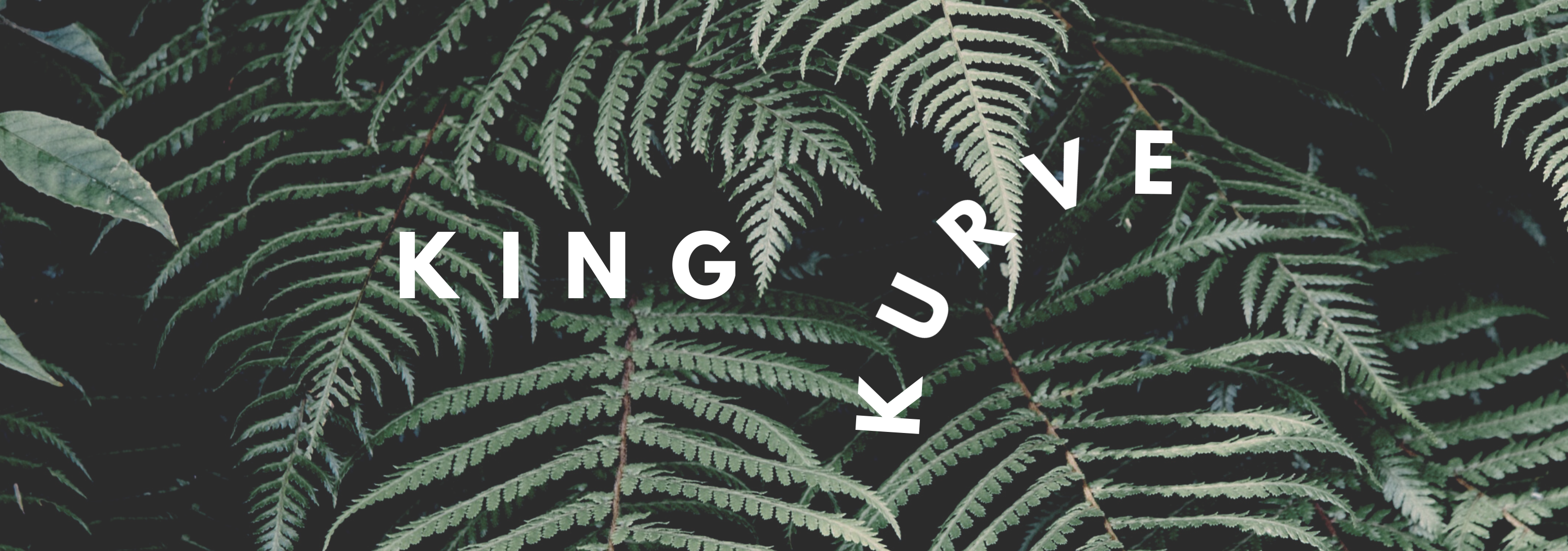 King OnlyFans header