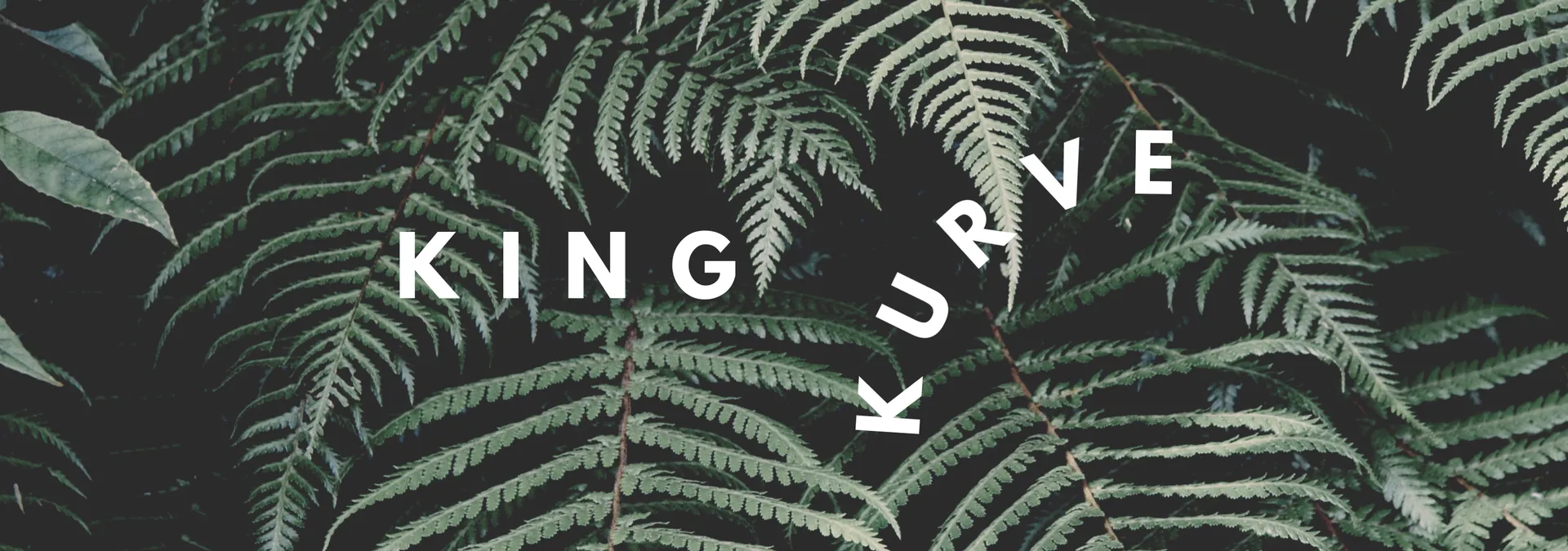 King OnlyFans header