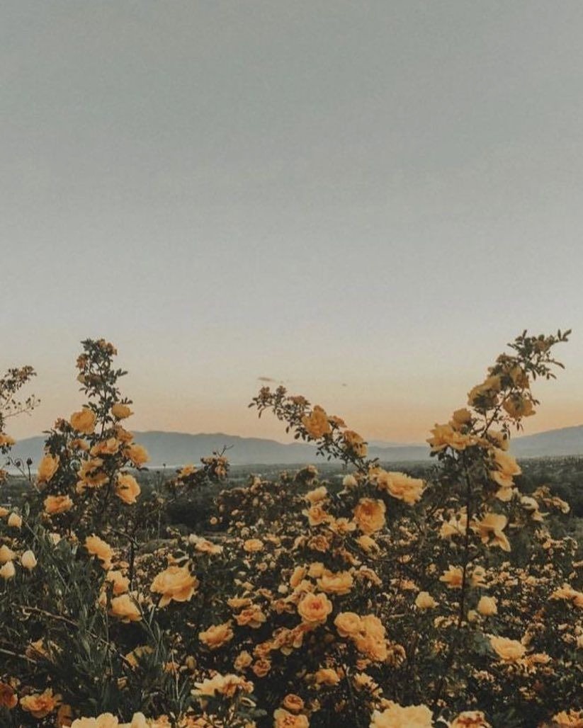 Ashley Mae OnlyFans header