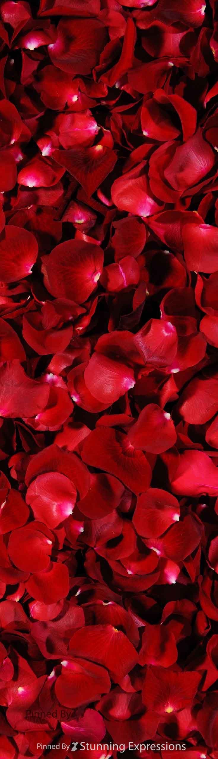 Chloe PrincessCut Santiago OnlyFans header