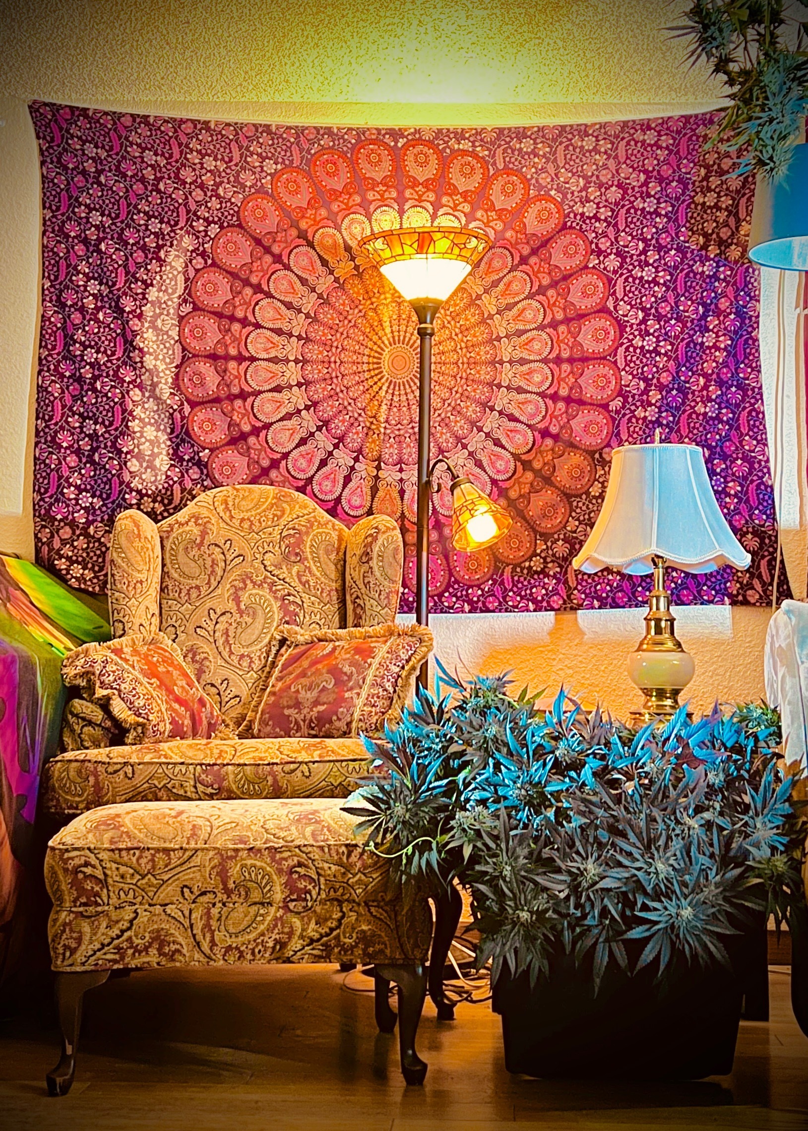 Free Sexual Spirit OnlyFans header