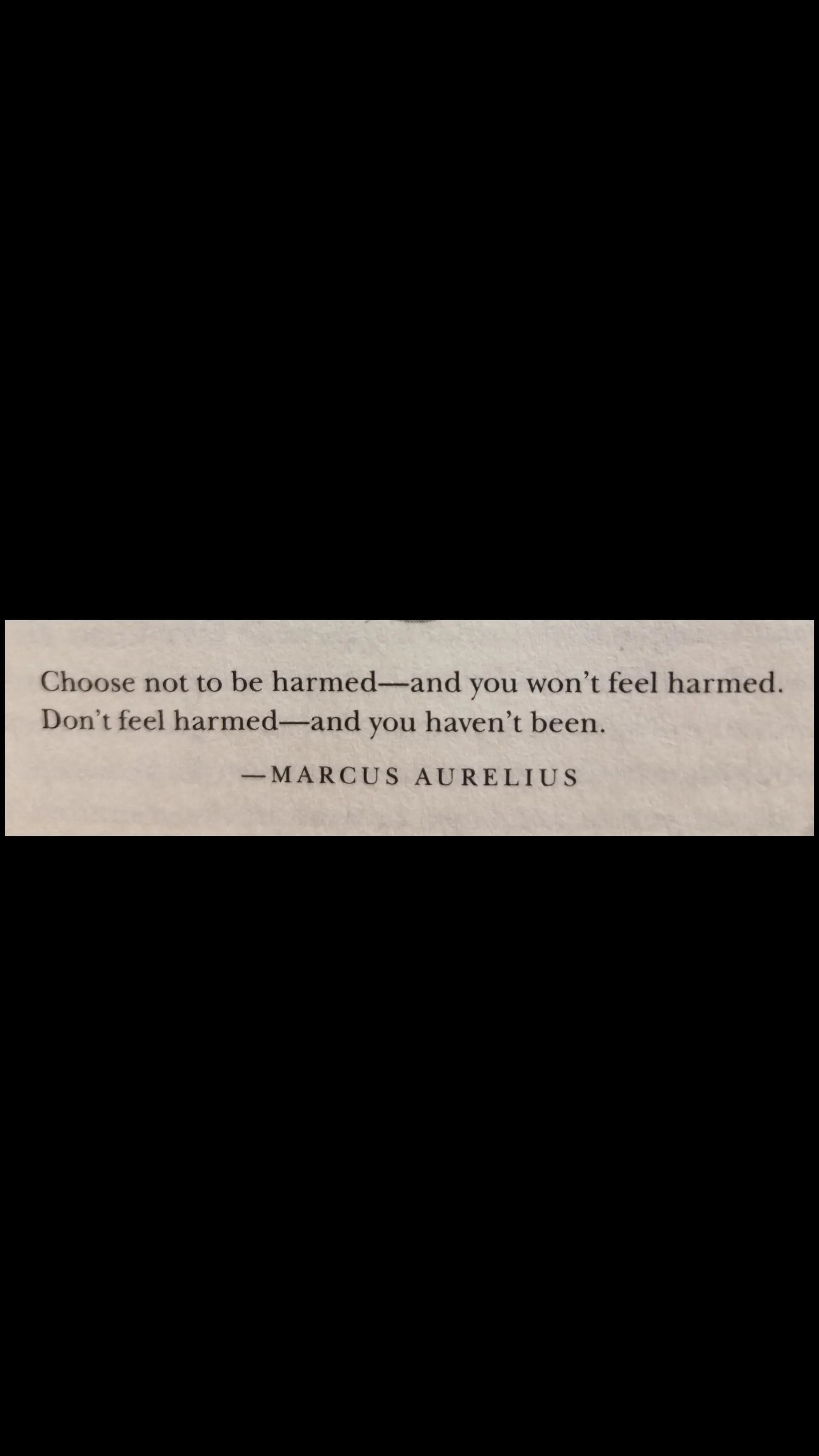 Grizzly OnlyFans header