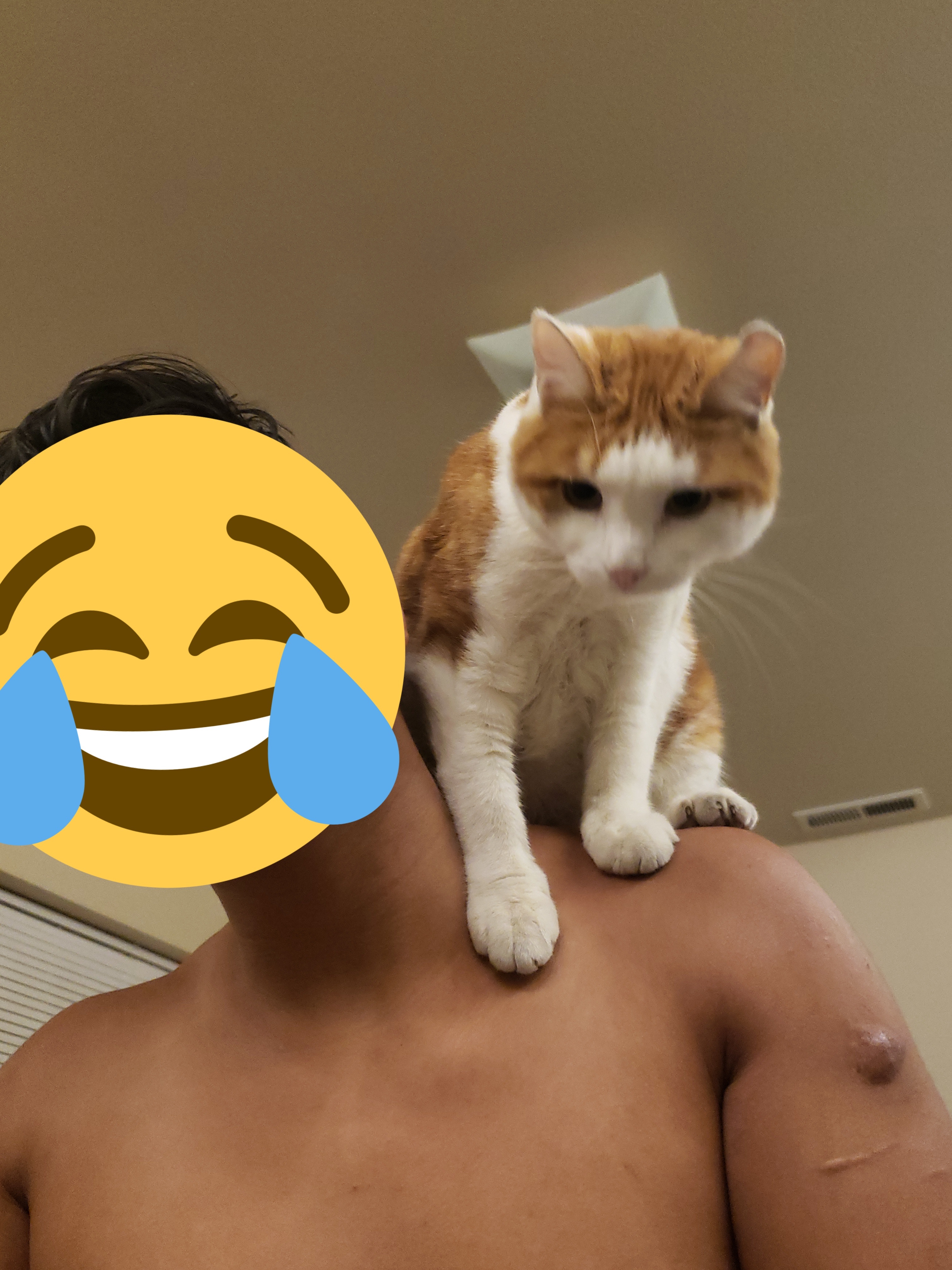 life of No Man OnlyFans header