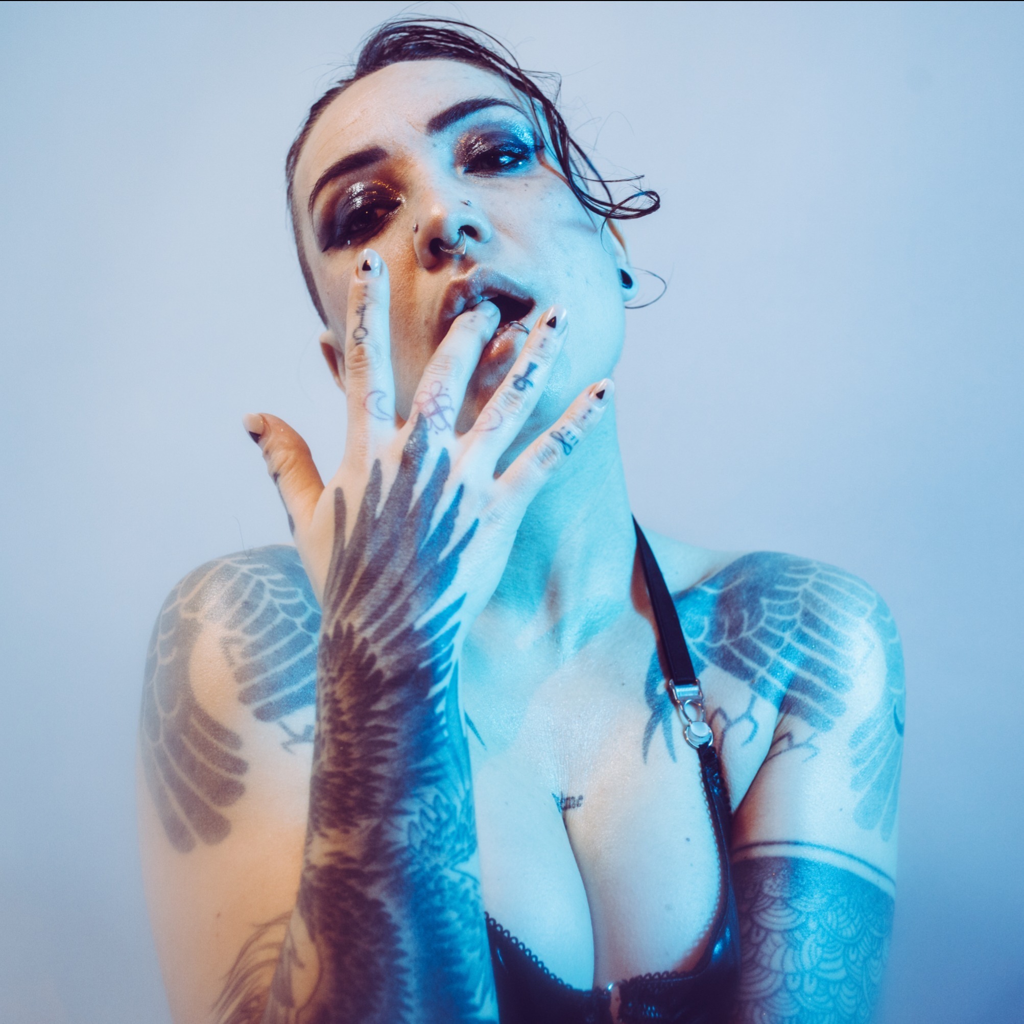 Ursinae Vesperal ʕ·ᴥ·ʔ