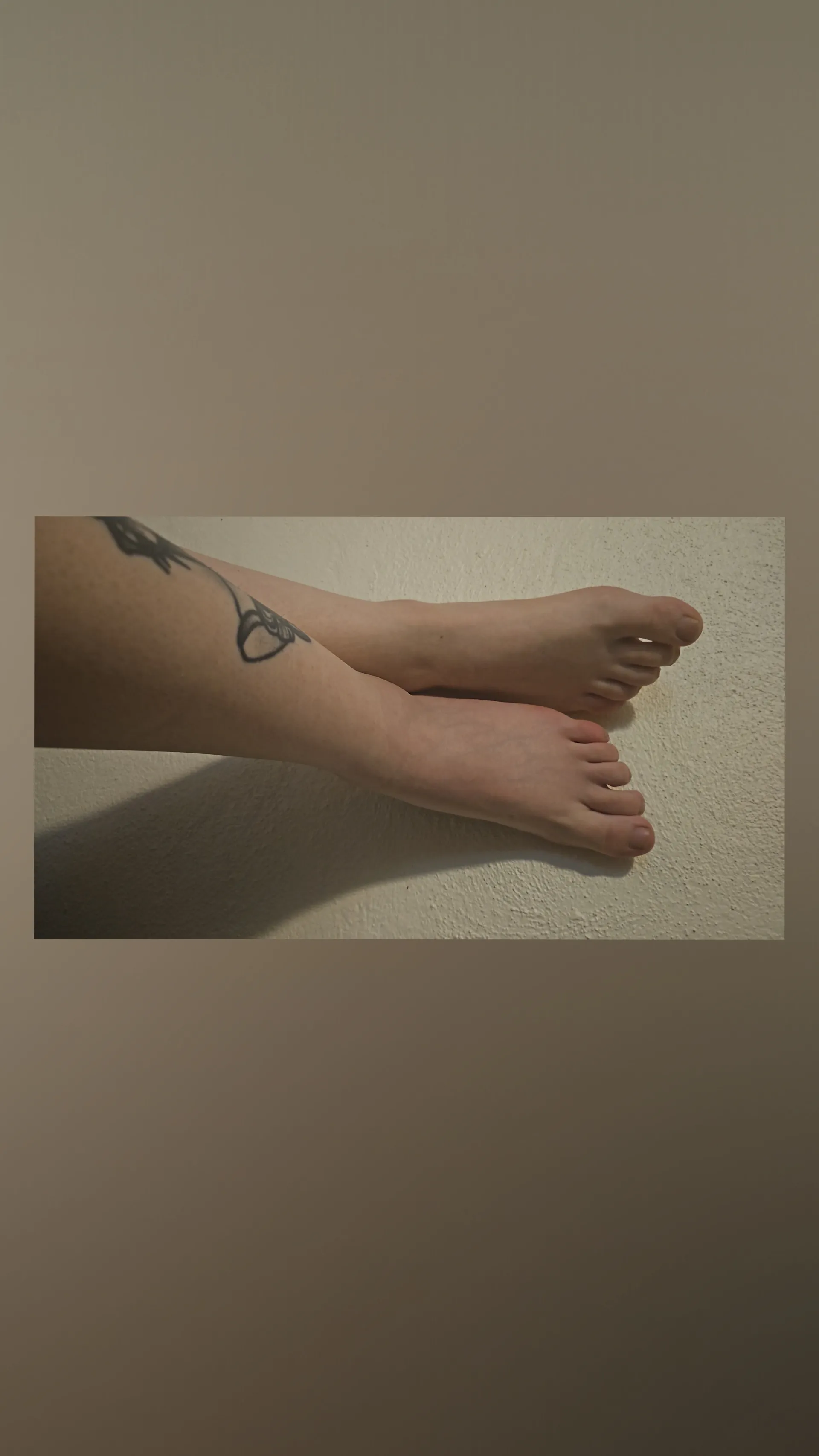 Freeya OnlyFans header