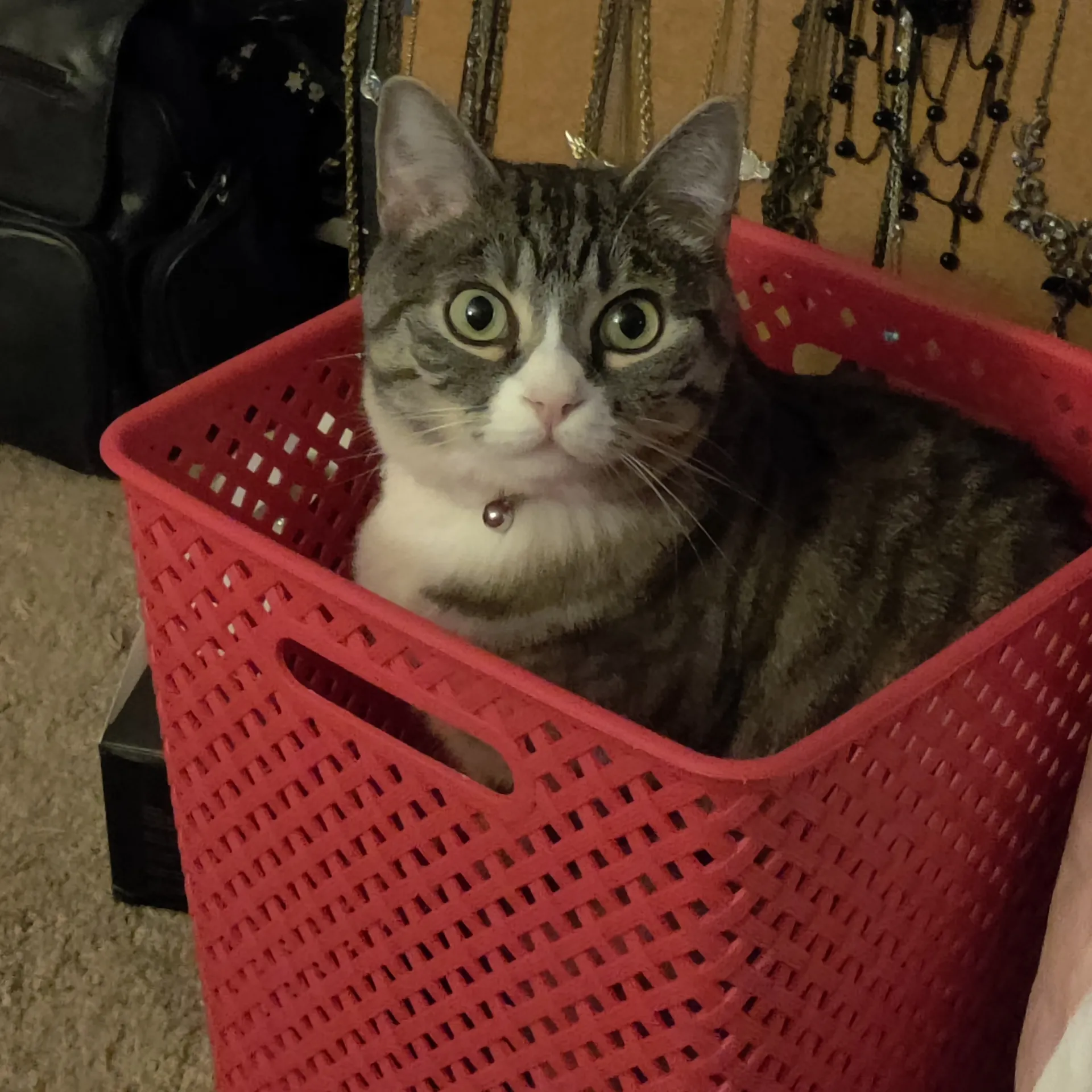 Frei💖 OnlyFans header