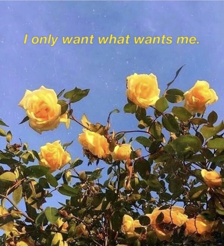 French BB OnlyFans header