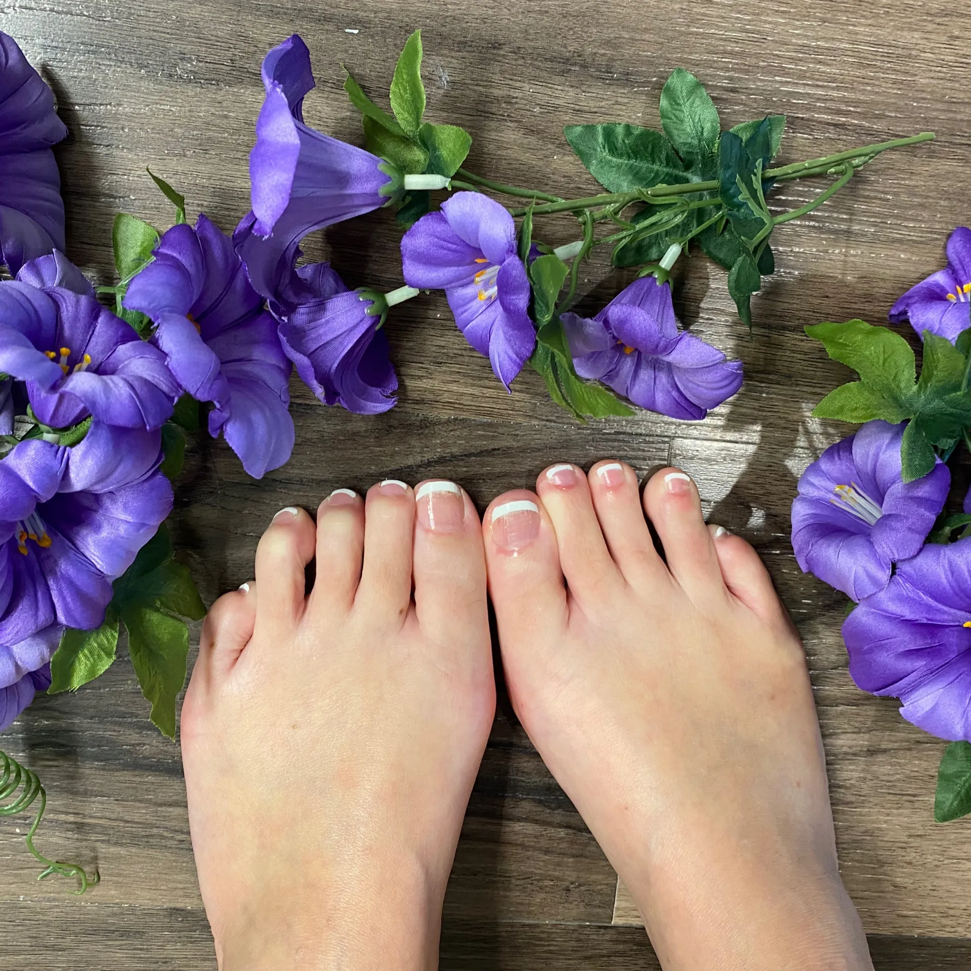 Frenchie OnlyFans header