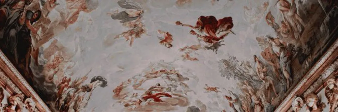 Kiwi OnlyFans header