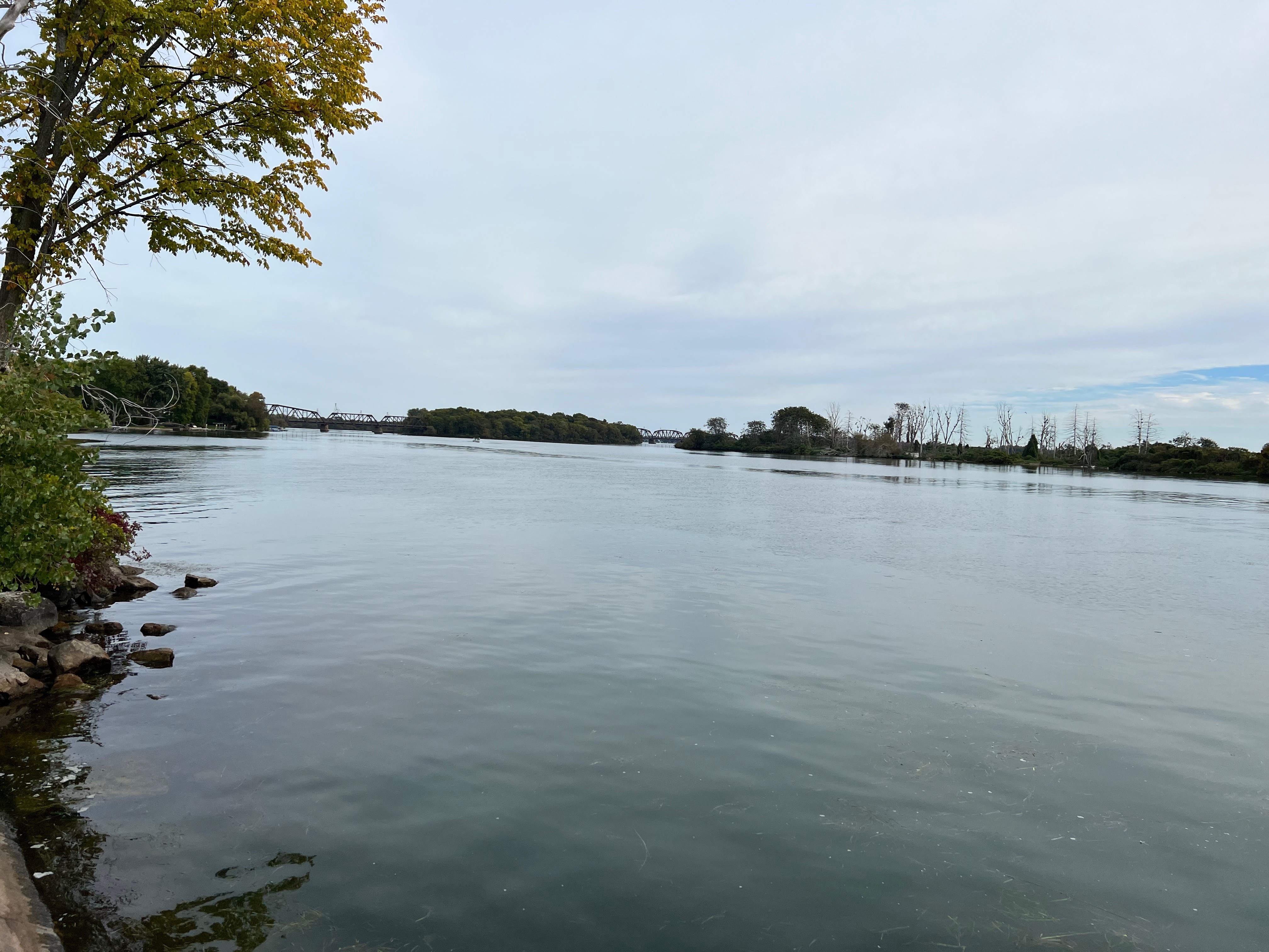 Freshly9Teen OnlyFans header