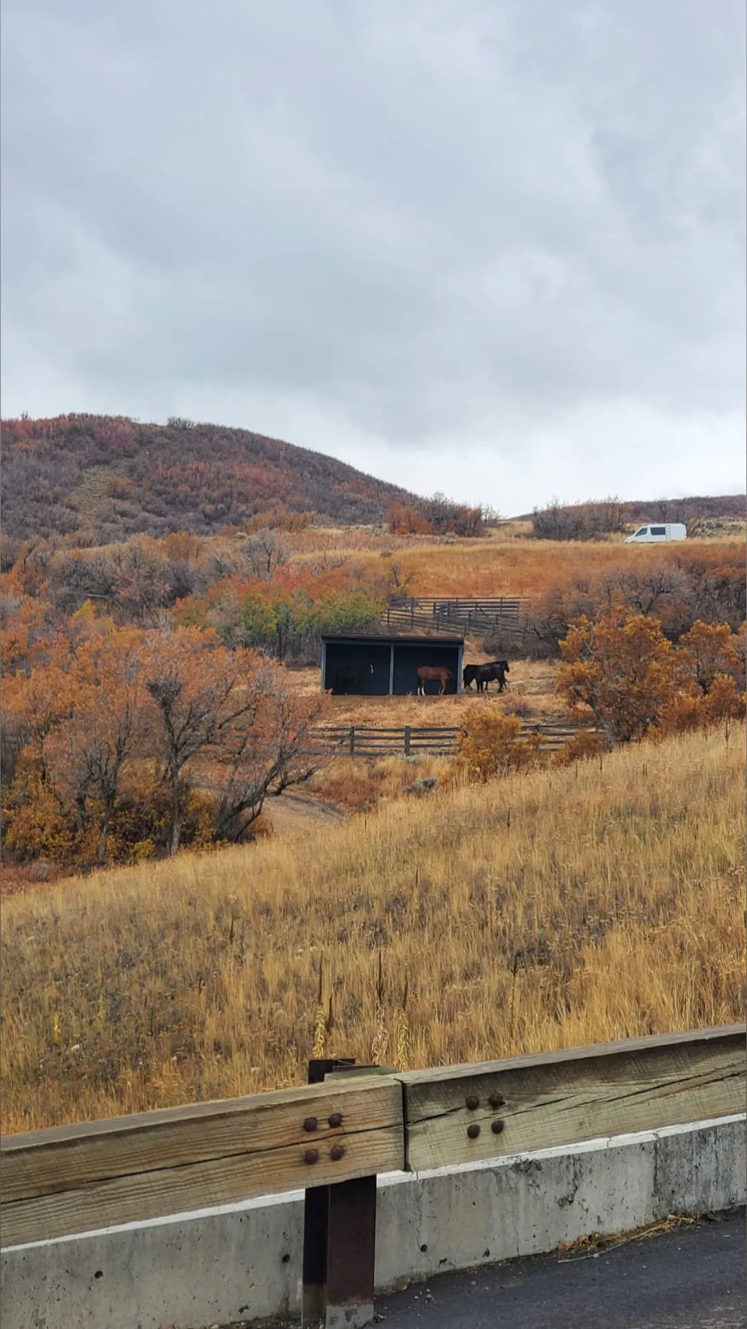 Fresh Prince OnlyFans header