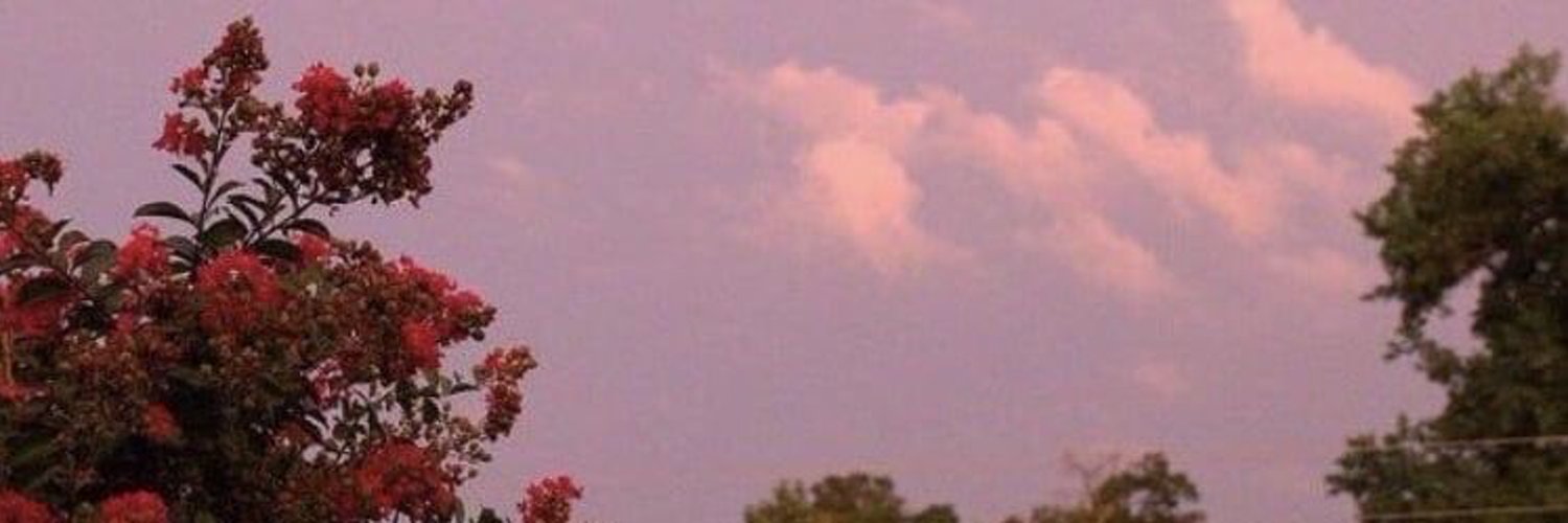 𝔪𝔬𝔯𝔱𝔦𝔠𝔦𝔞 OnlyFans header