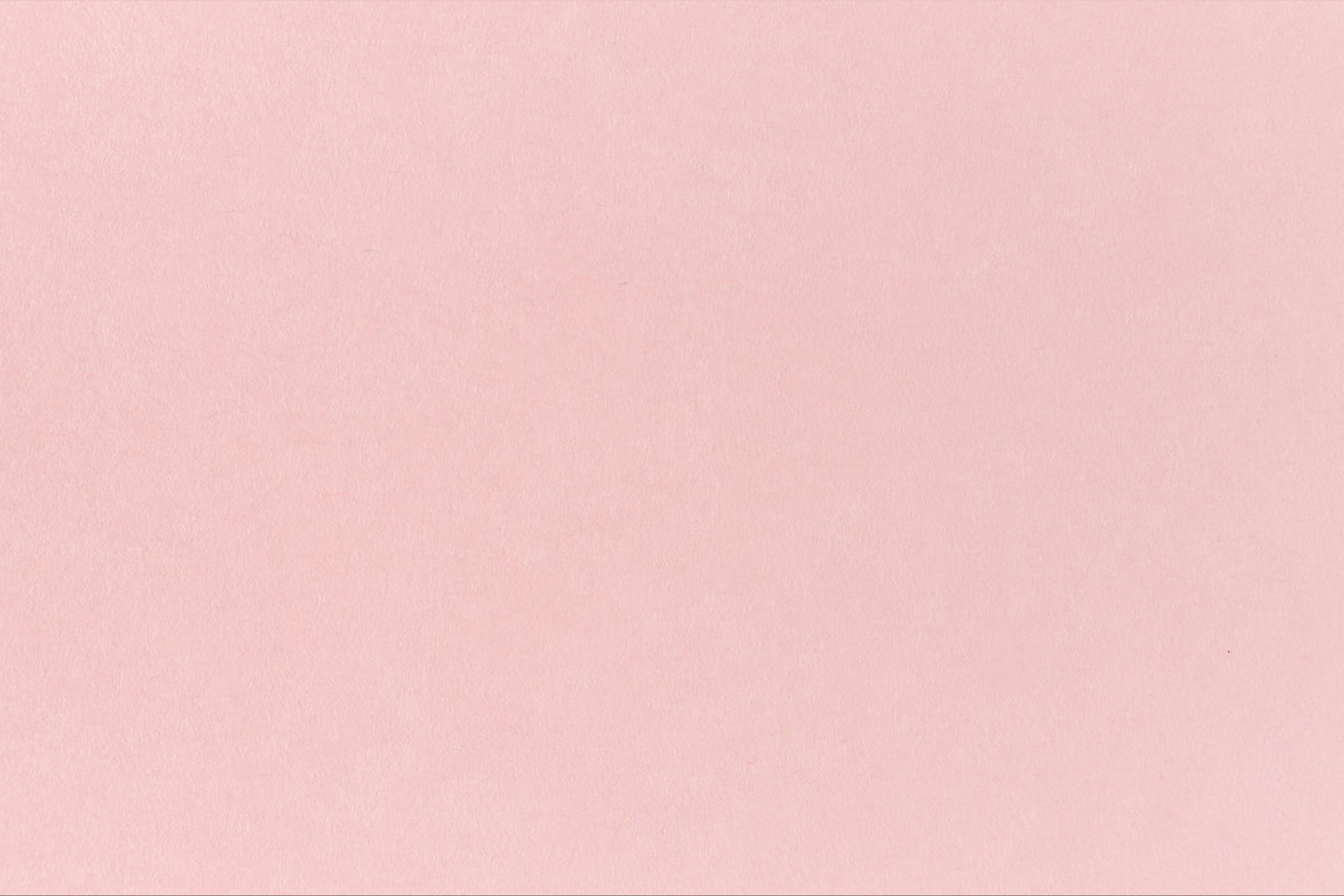 Freya OnlyFans header