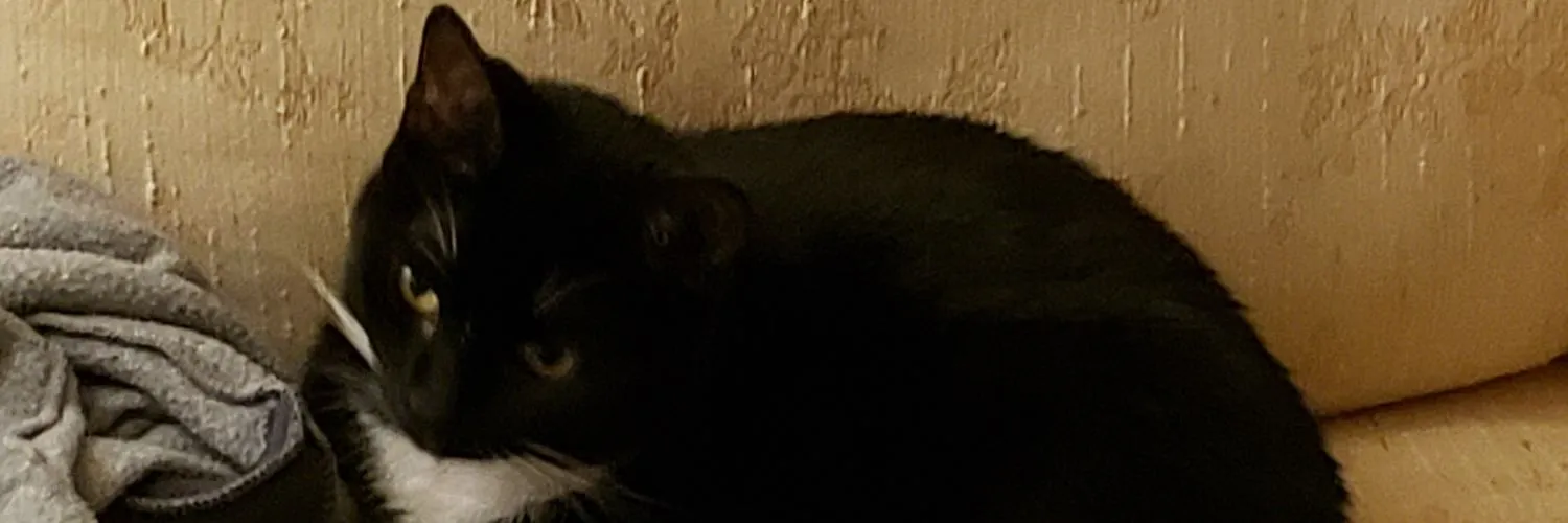 Katie ♍♏♏ OnlyFans header