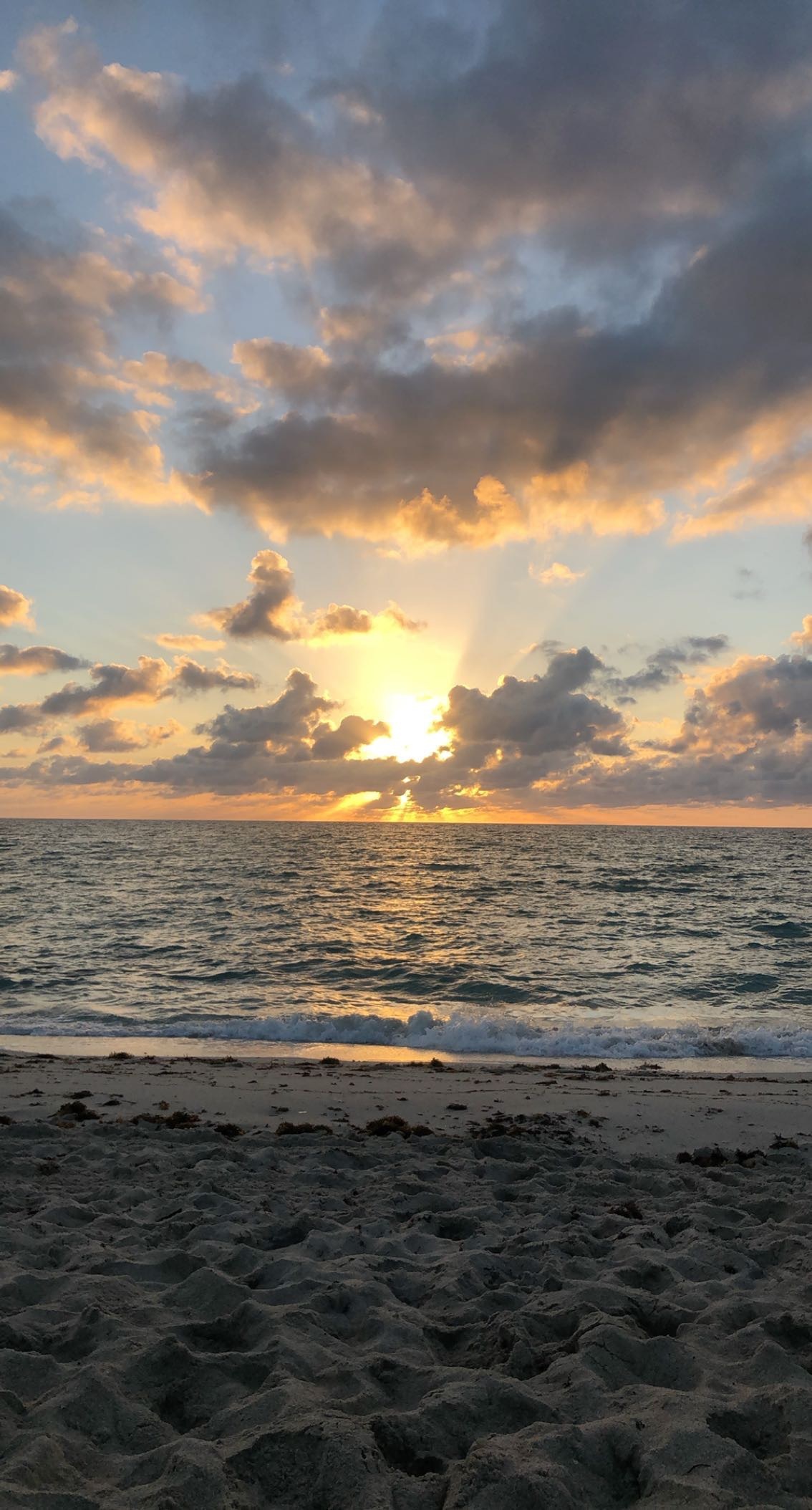 Freya OnlyFans header