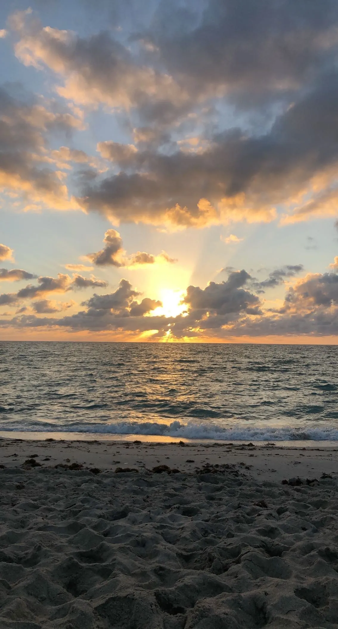 Freya OnlyFans header