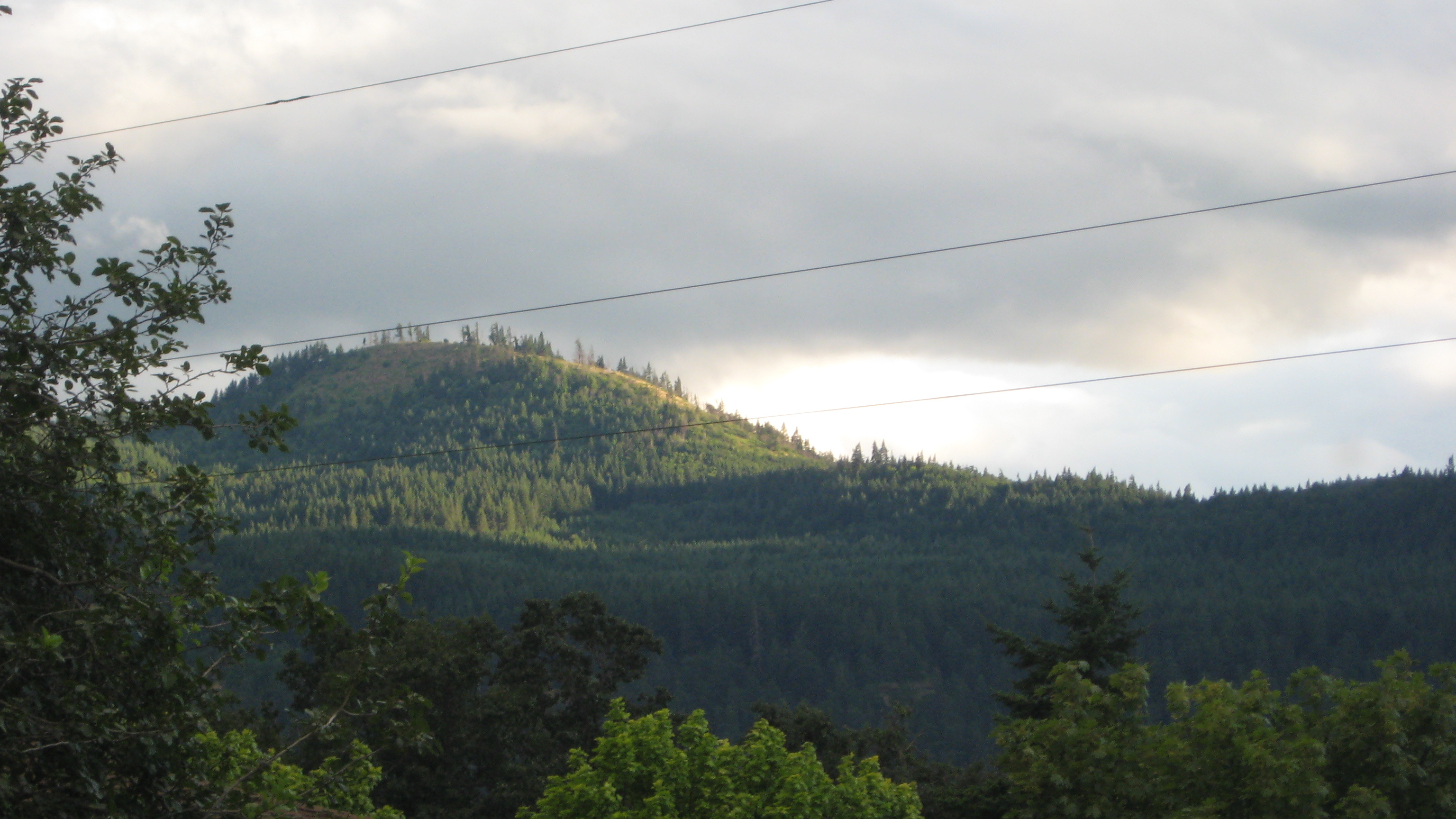 Freya's Glade OnlyFans header