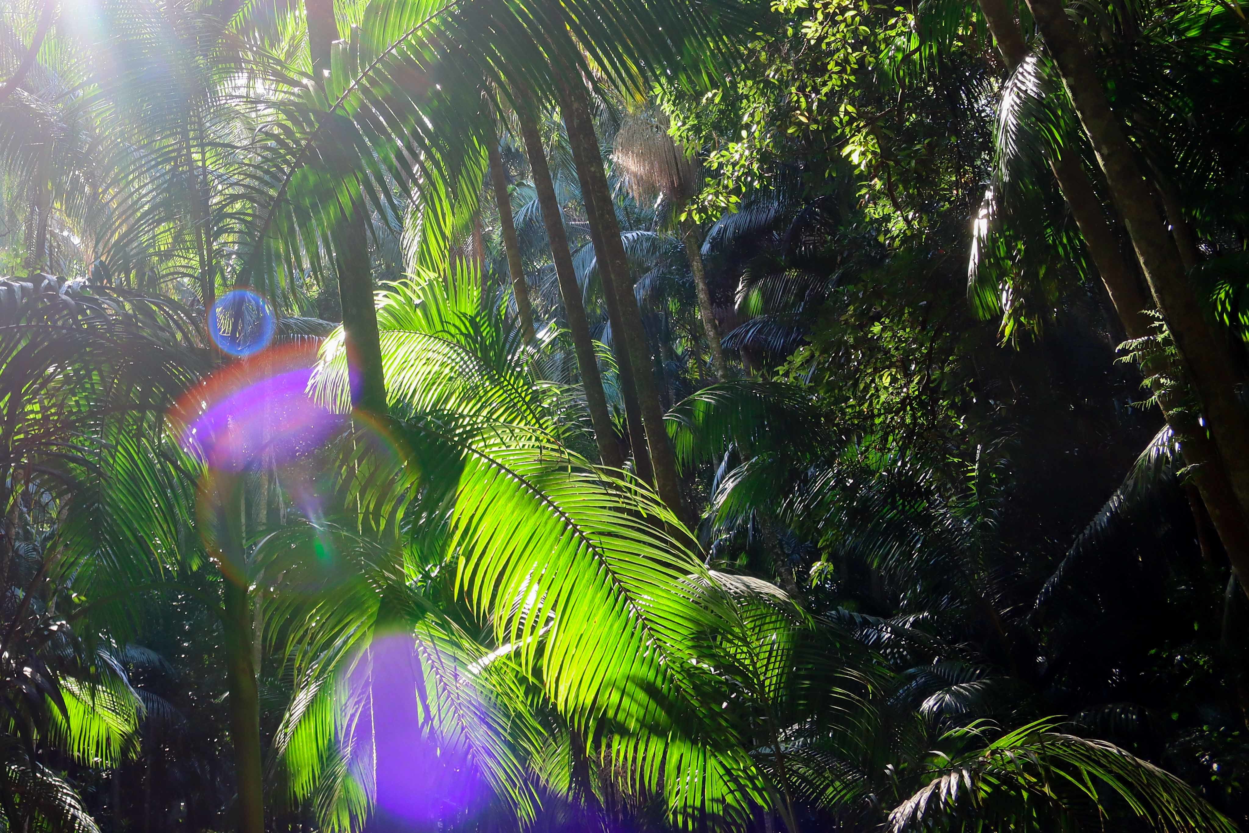 FreyFrey OnlyFans header