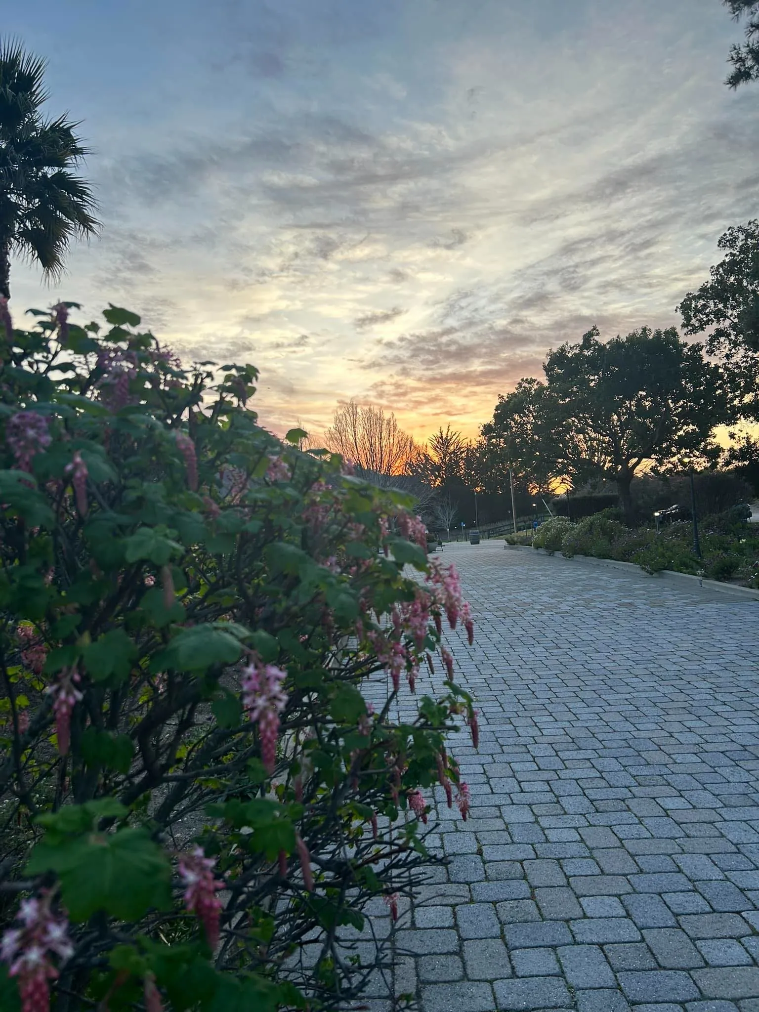 Freyja OnlyFans header