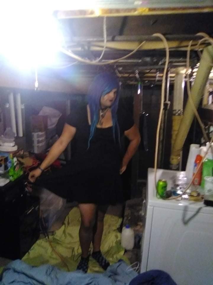 Freyjadanekogurl OnlyFans header