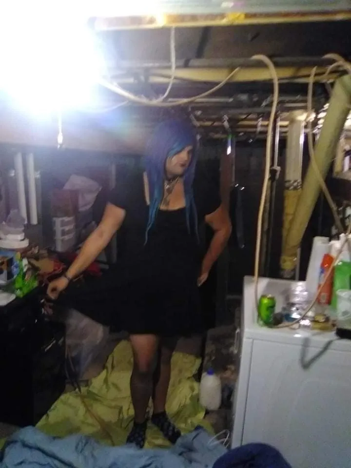 Freyjadanekogurl OnlyFans header