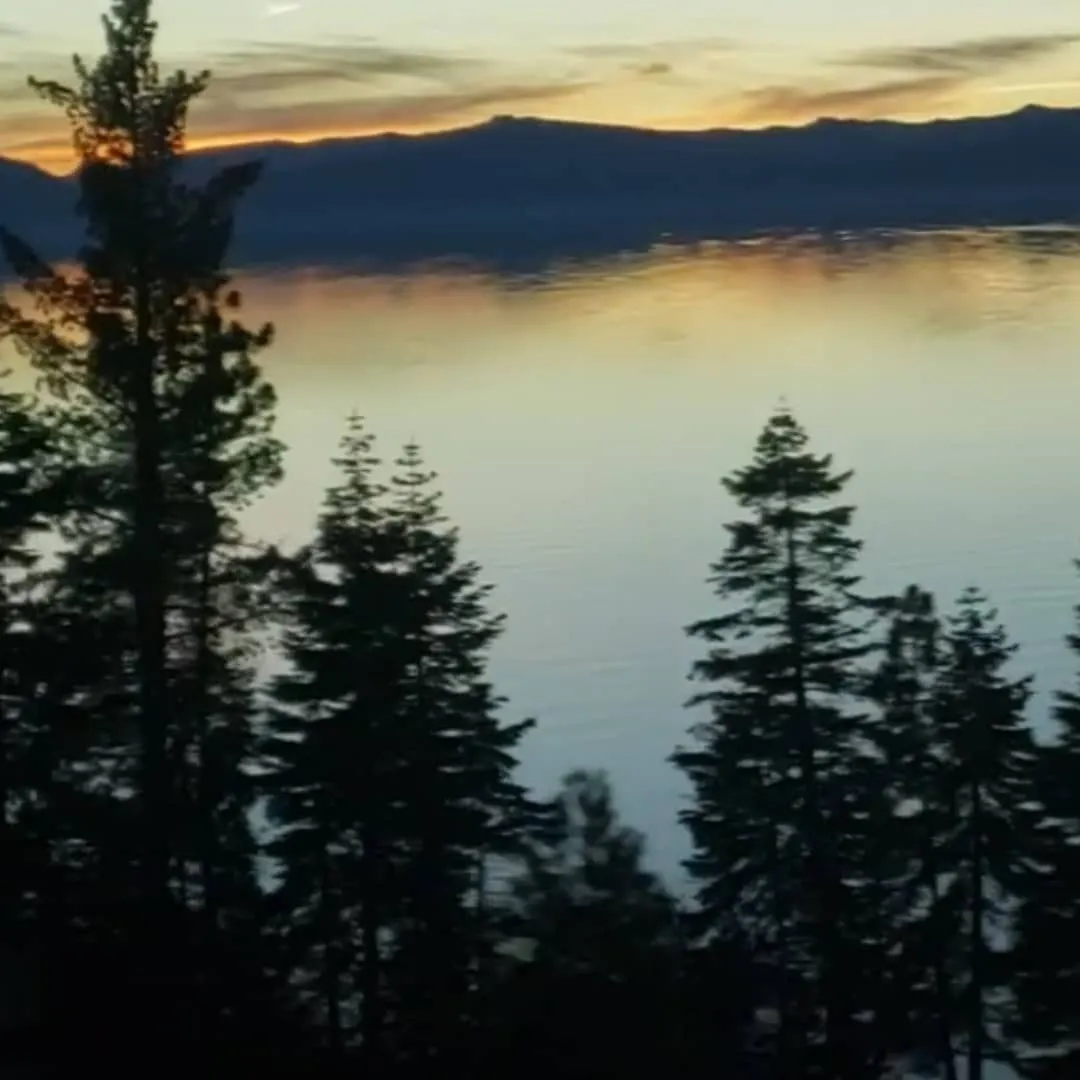 Friddle OnlyFans header