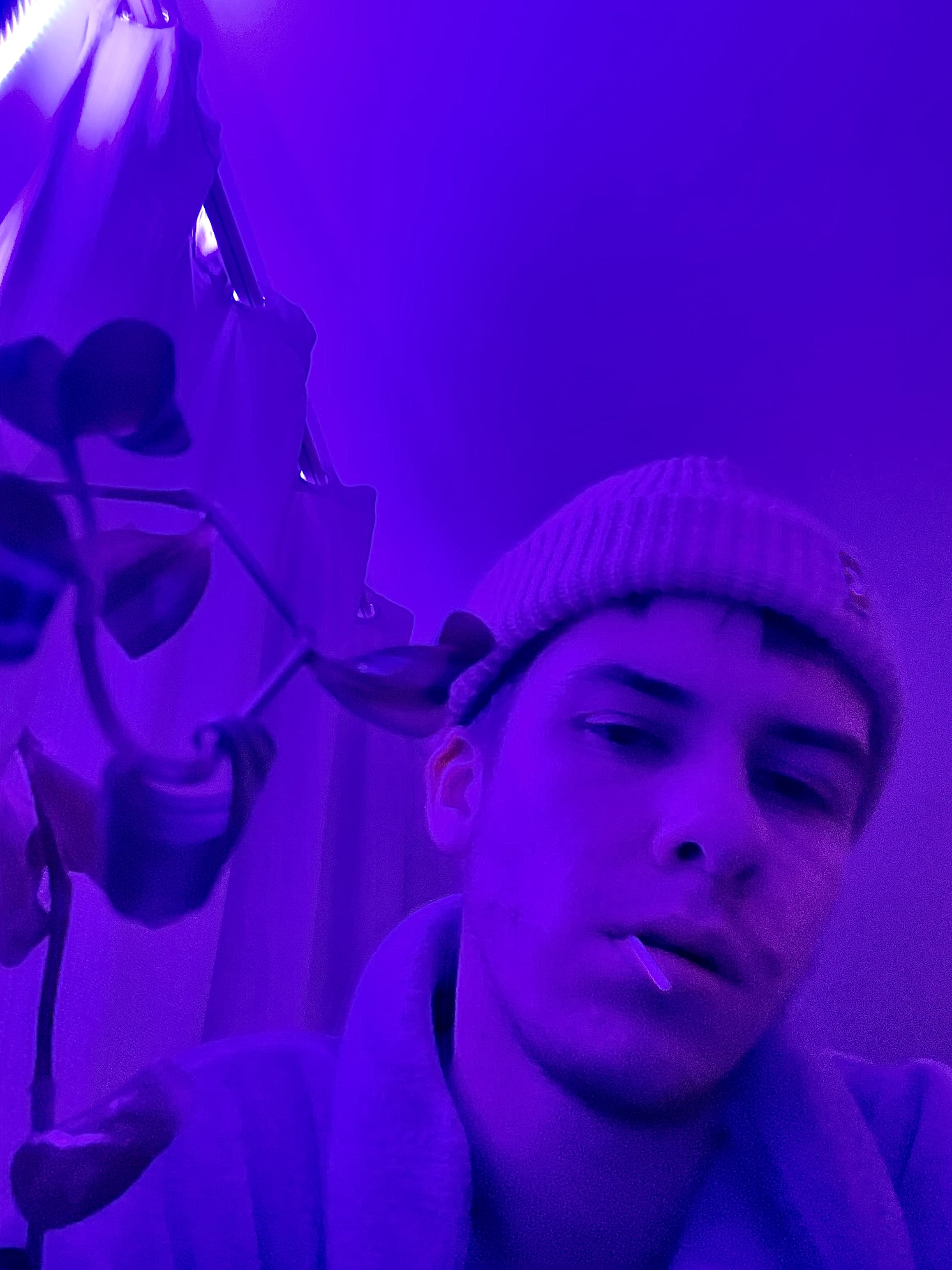 OnlyFeet OnlyFans header