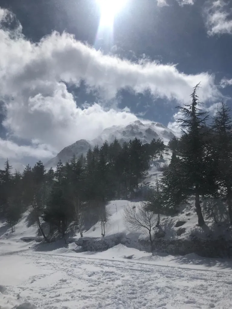 Utku OnlyFans header