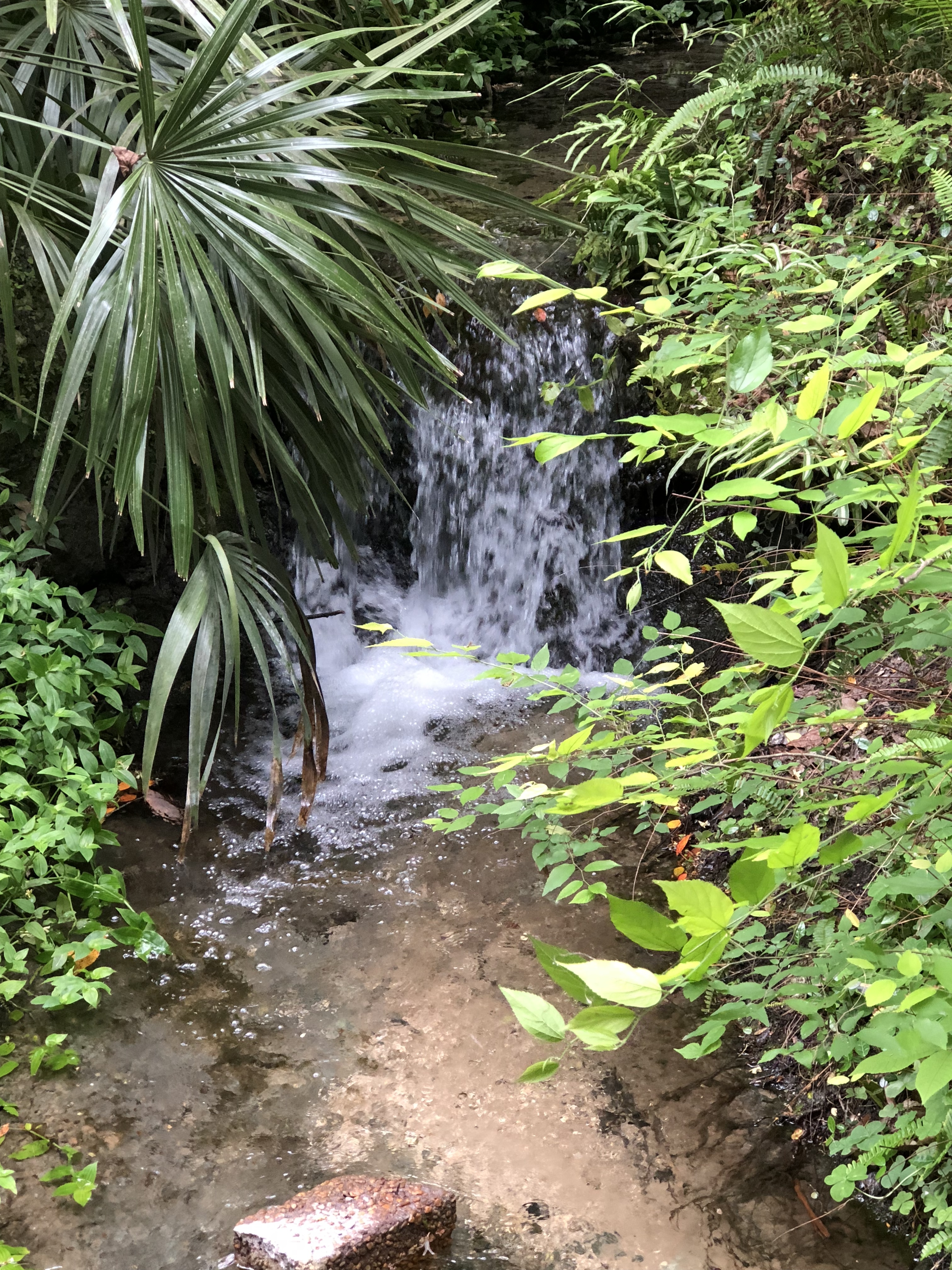 FriendlySugar💋 OnlyFans header