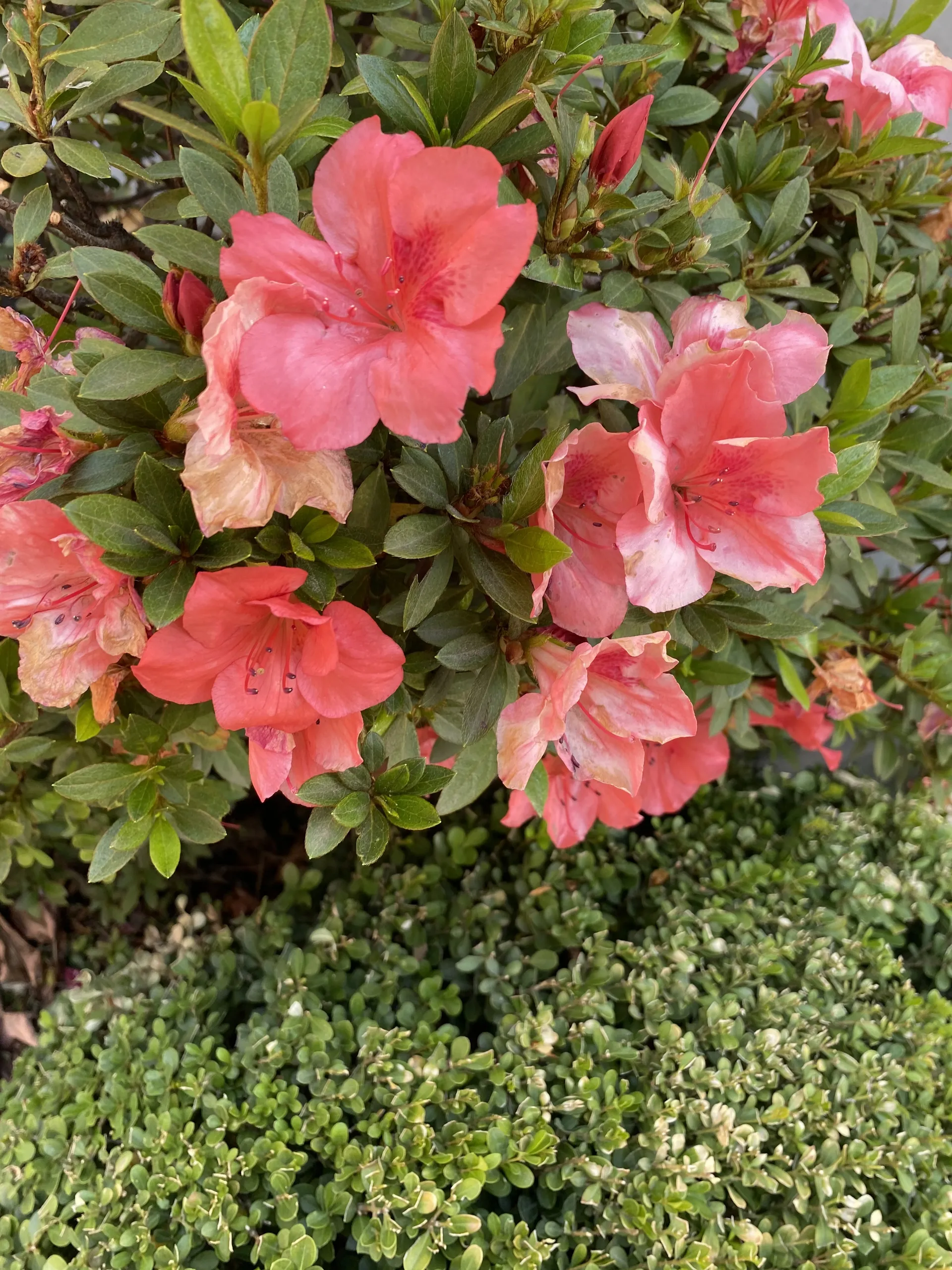 Enjoy the action! OnlyFans header