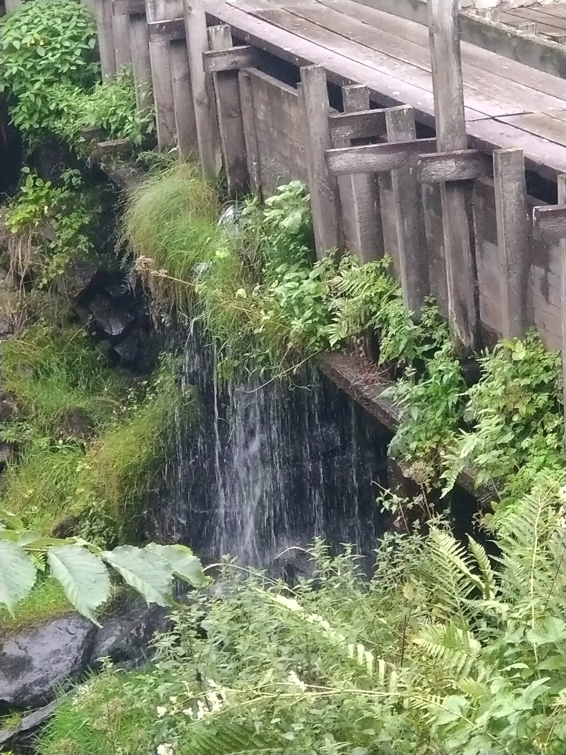 Frika OnlyFans header