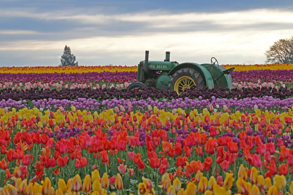 Mel B OnlyFans header