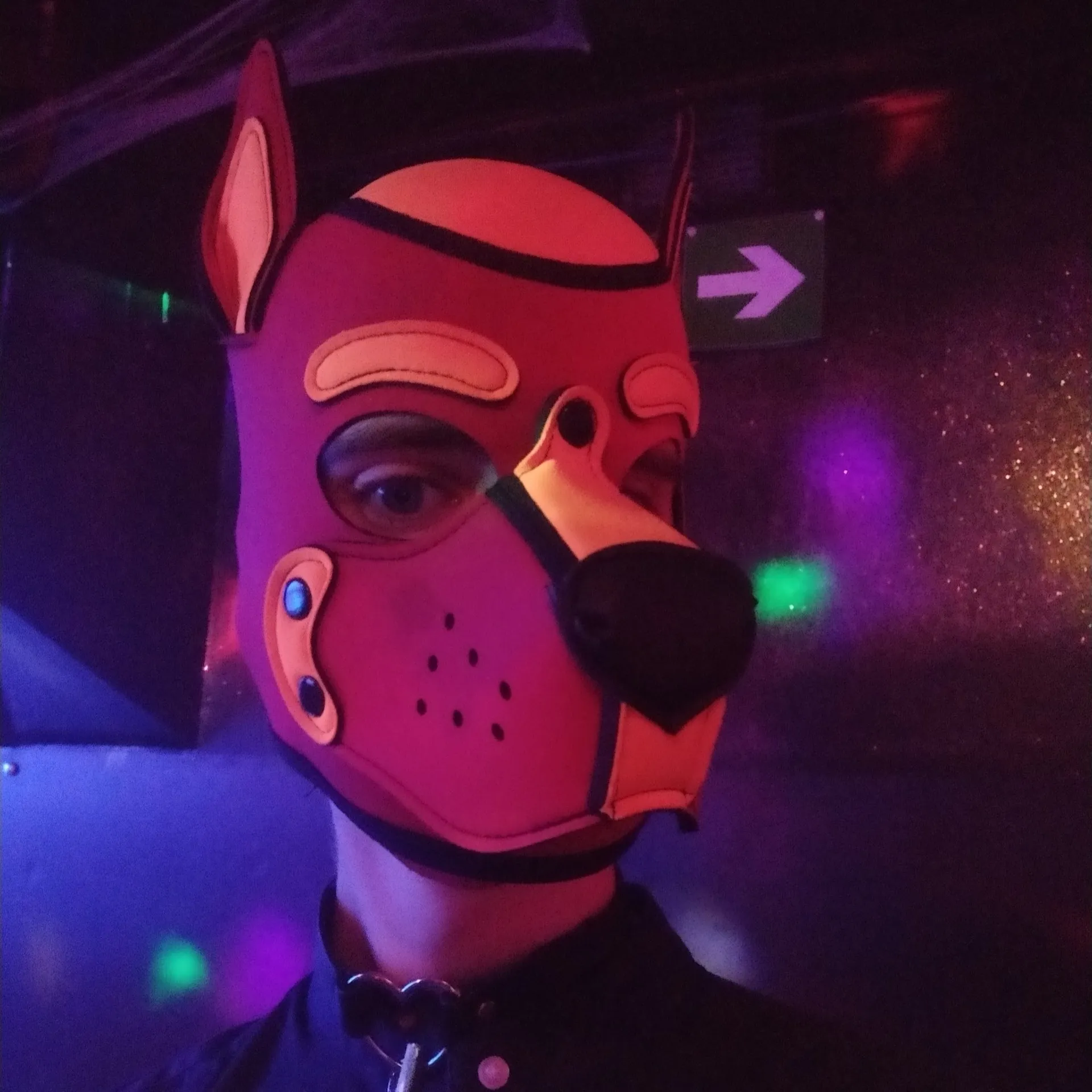 Fritolo OnlyFans header