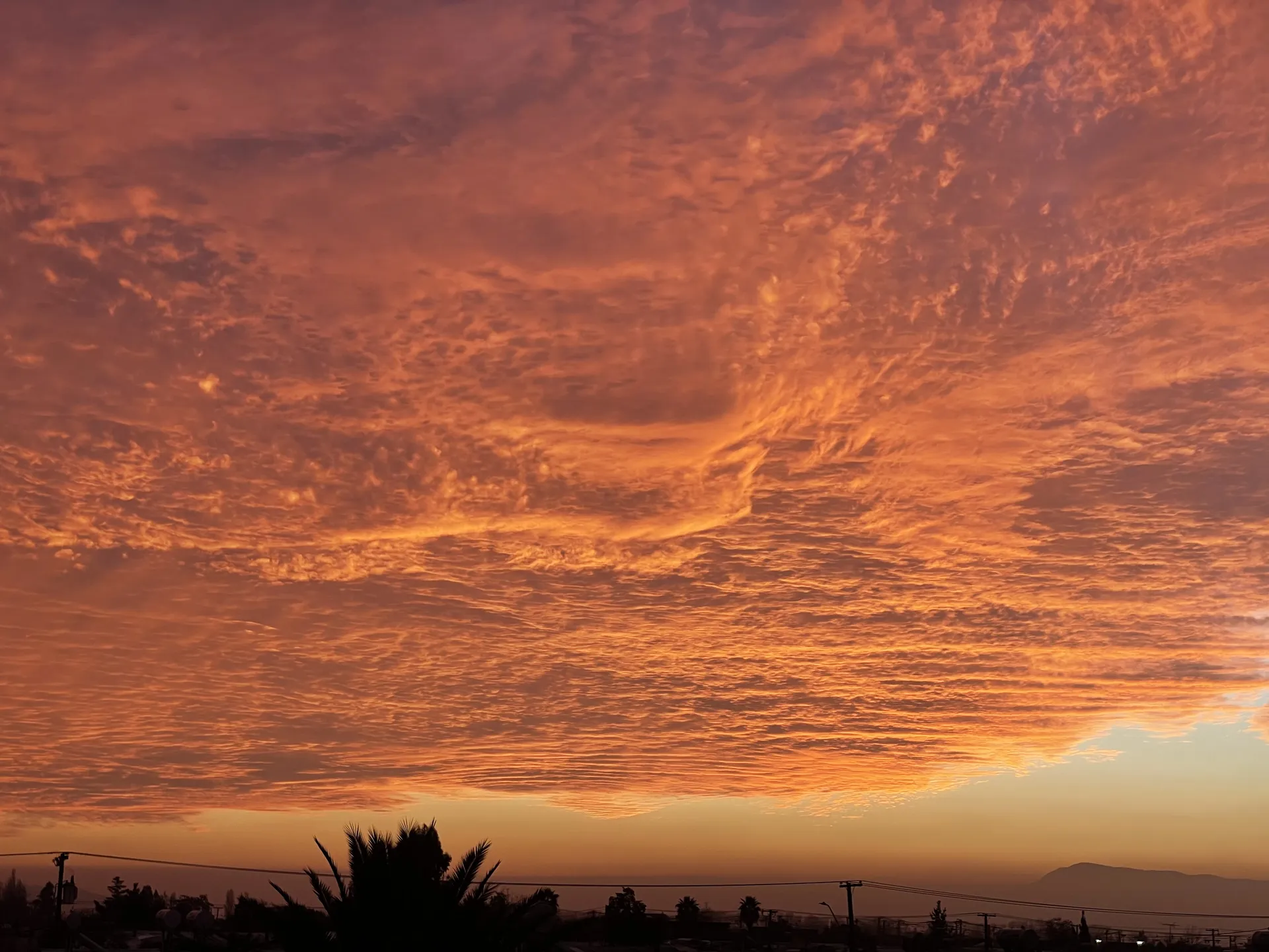 FroesLevi OnlyFans header