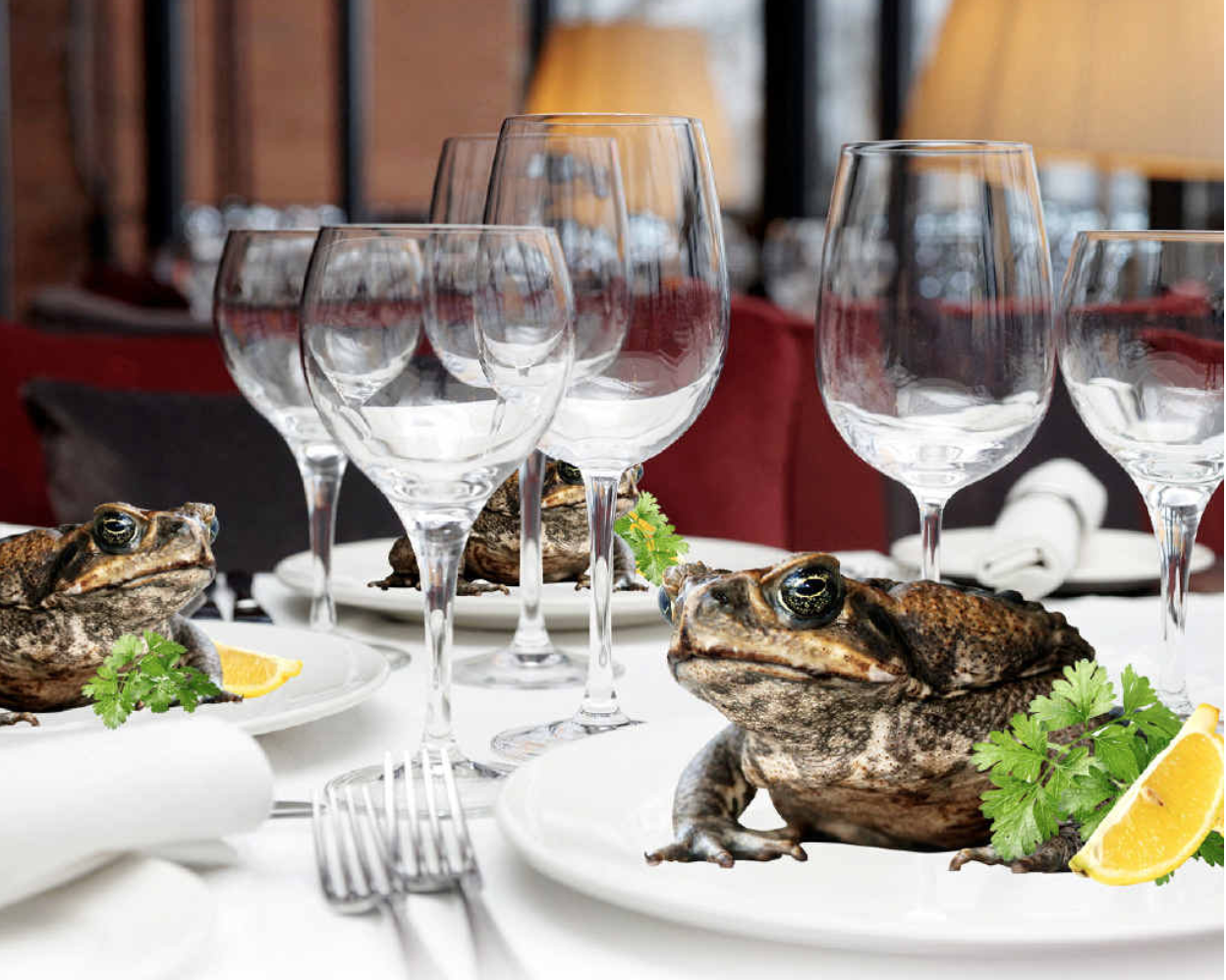 David GoldSchmekel OnlyFans header