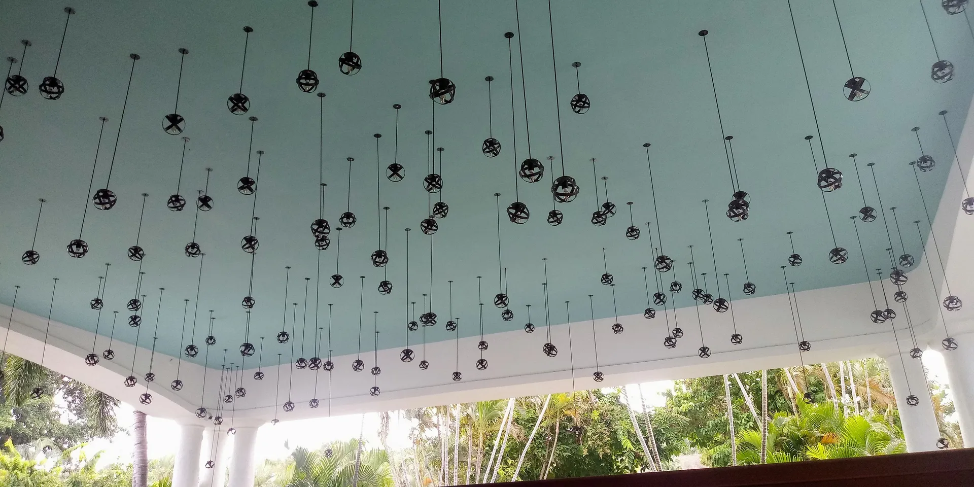 Frog lover OnlyFans header