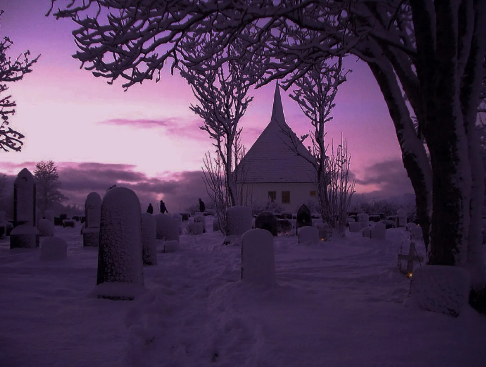 Alice OnlyFans header