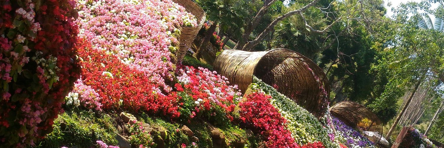 f.frong OnlyFans header