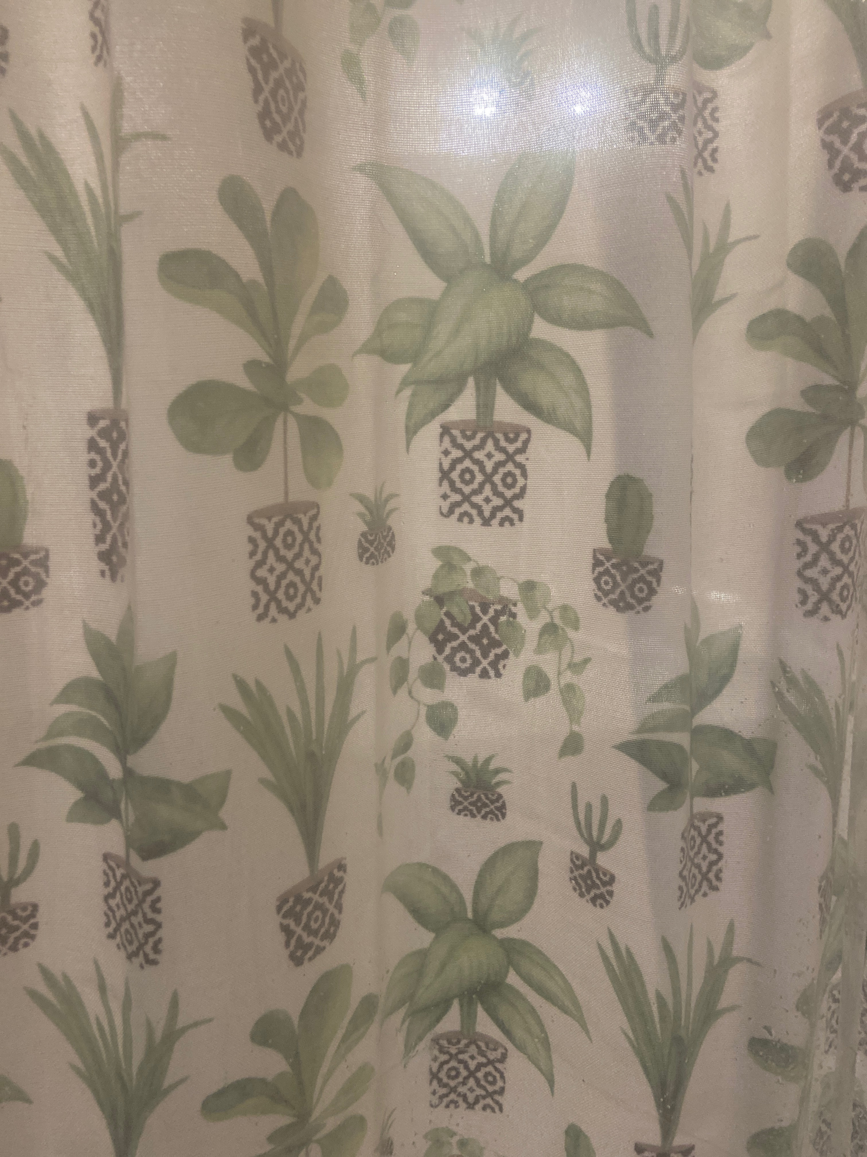 Frostedfinch OnlyFans header