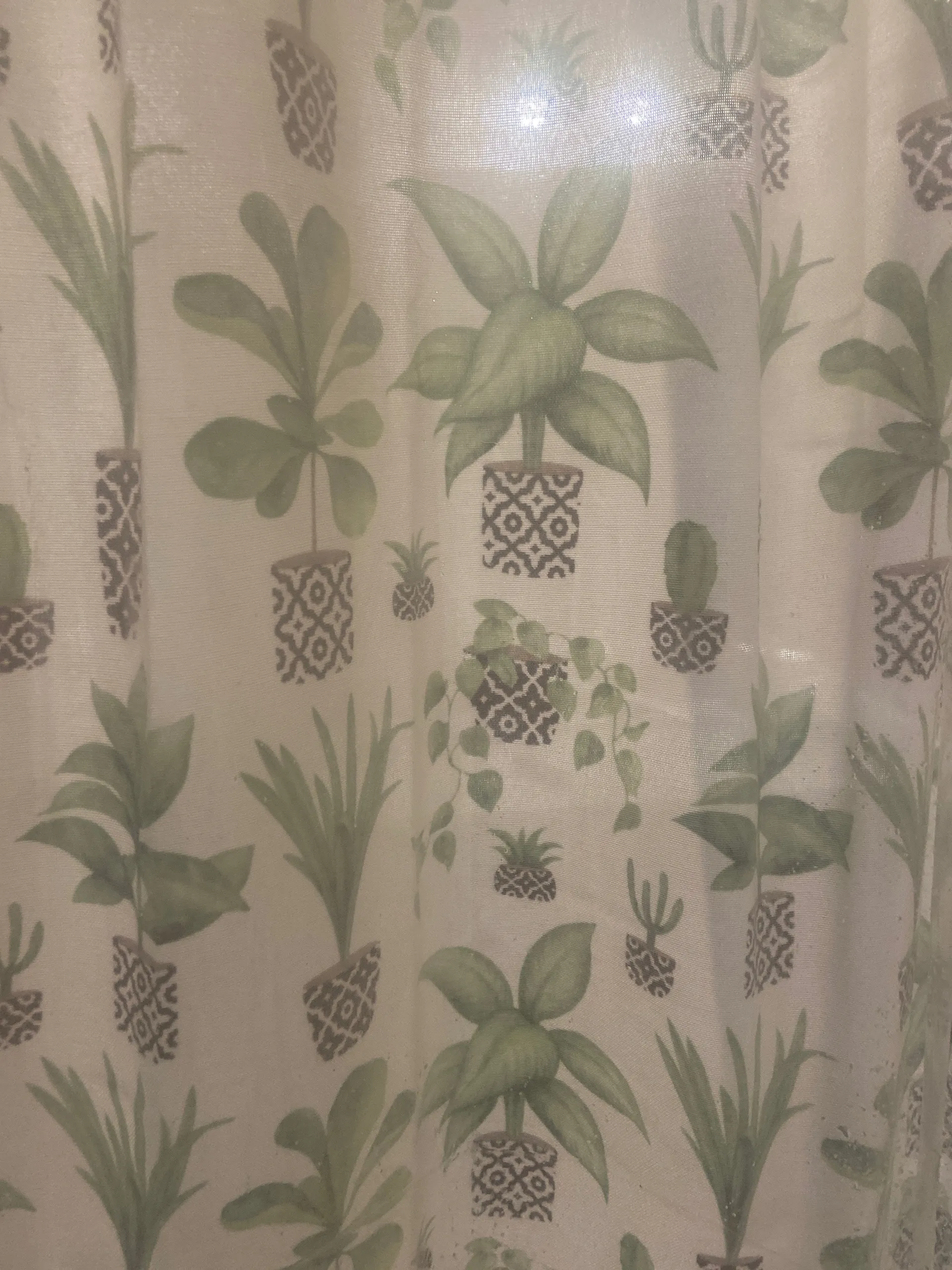 Frostedfinch OnlyFans header